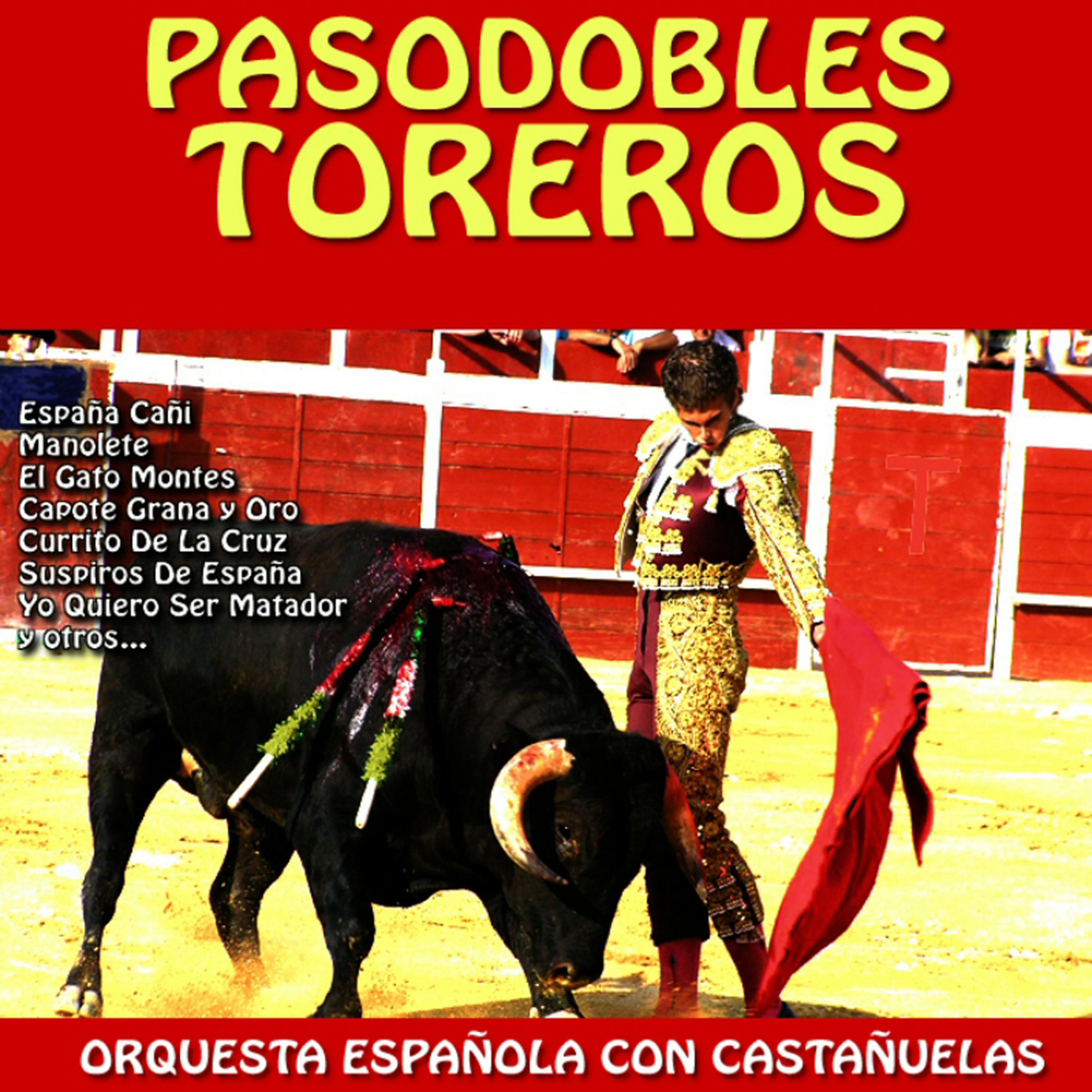 Постер альбома Pasodobles Toreros