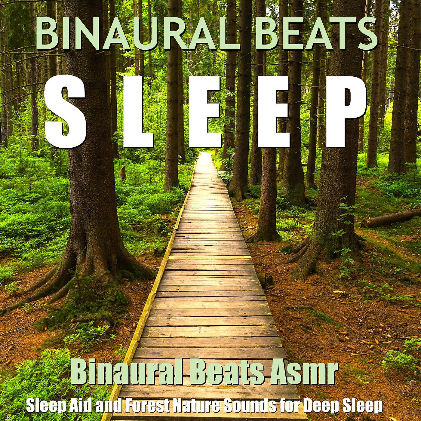 Постер альбома Binaural Beats: ASMR Sleep Aid and Forest Nature Sounds for Deep Sleep