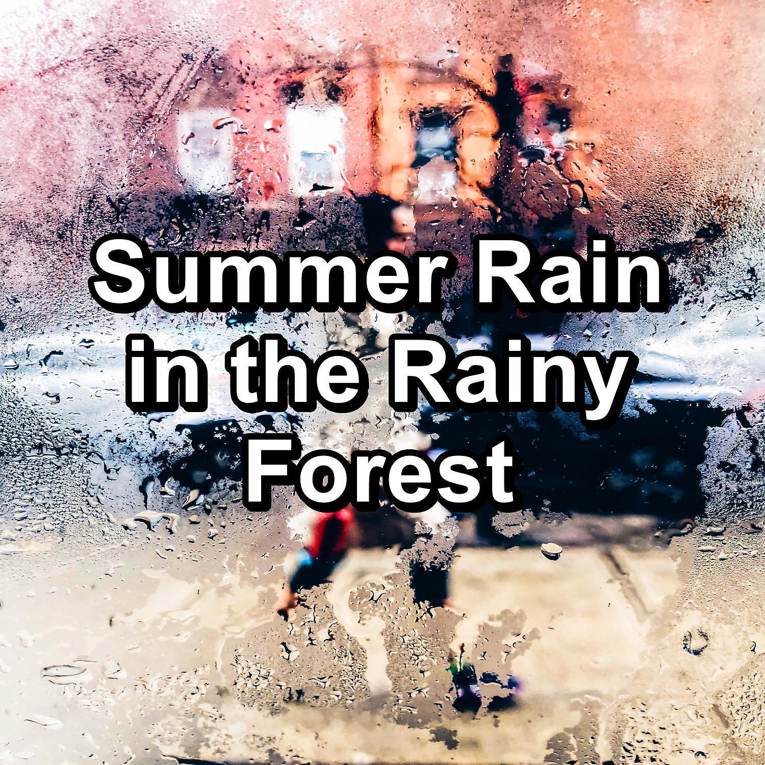 Постер альбома Summer Rain in the Rainy Forest
