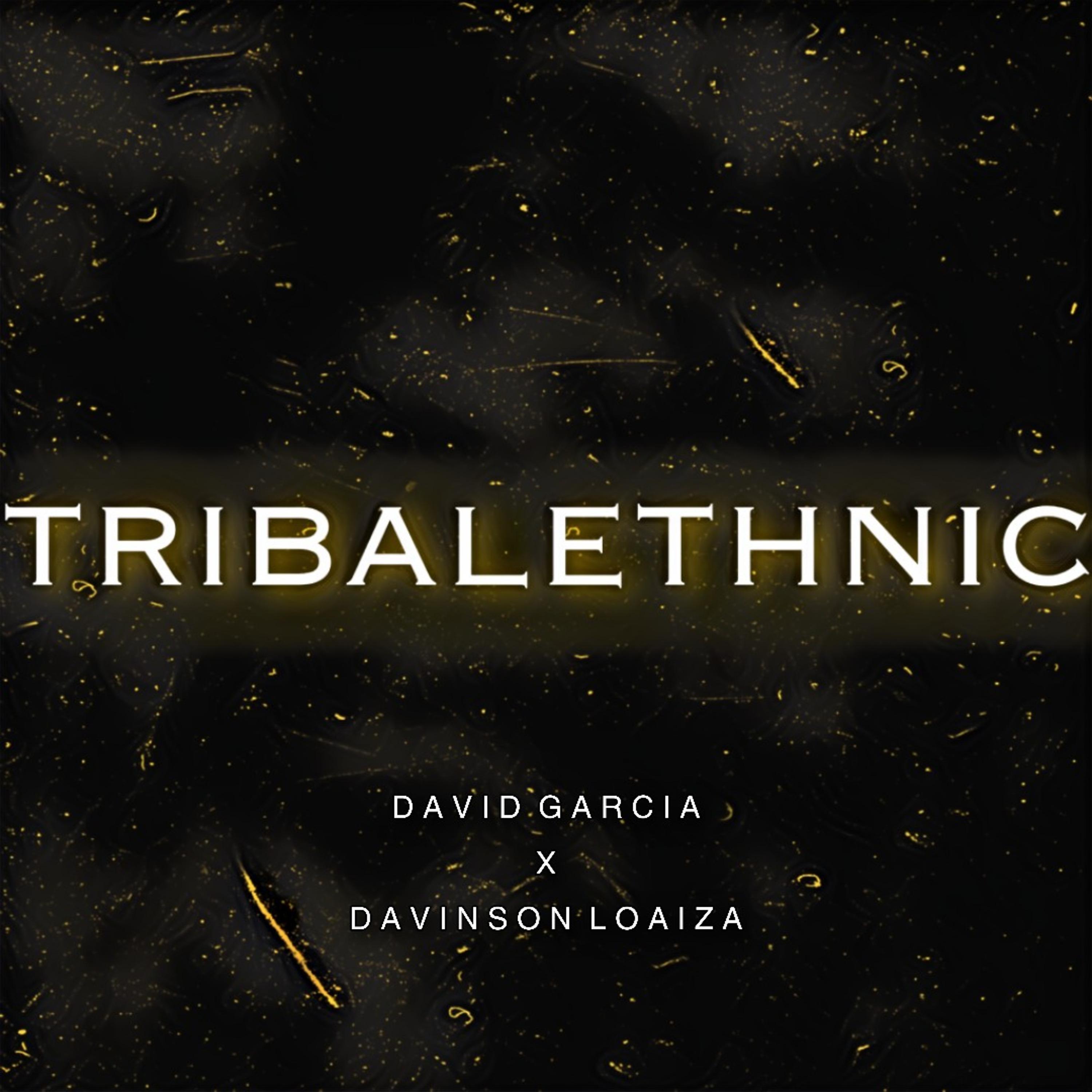 Постер альбома Tribalethnic