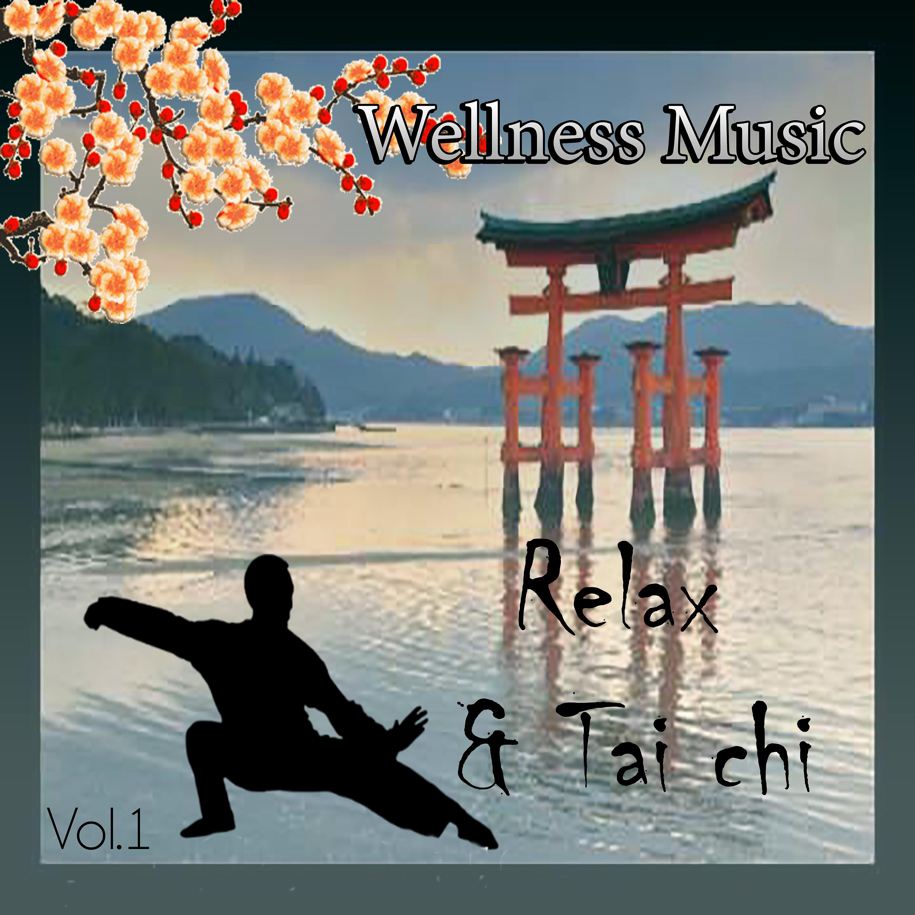 Постер альбома Wellness Music - Relax & Tai Chi, Vol. 1