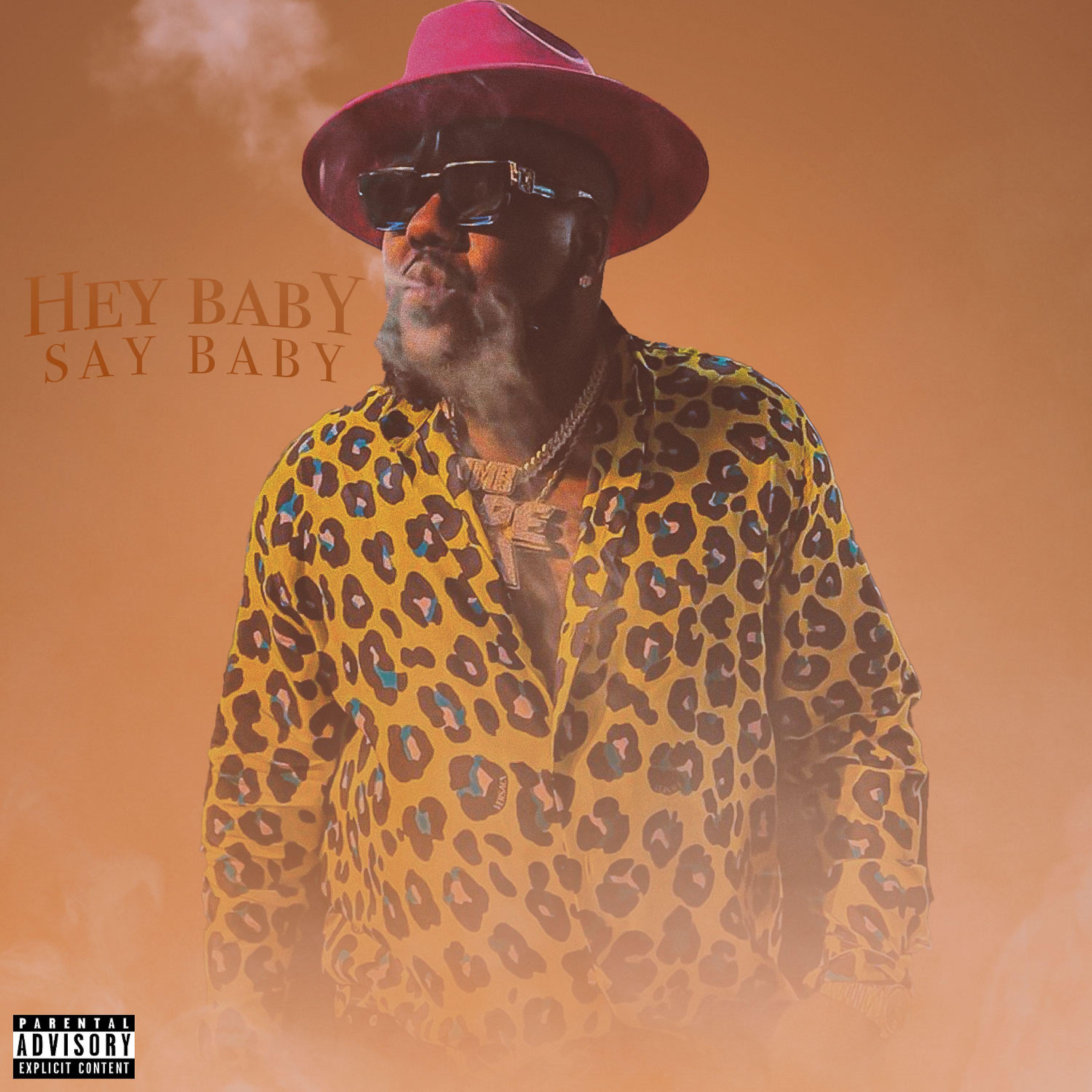Постер альбома Hey Baby Say Baby