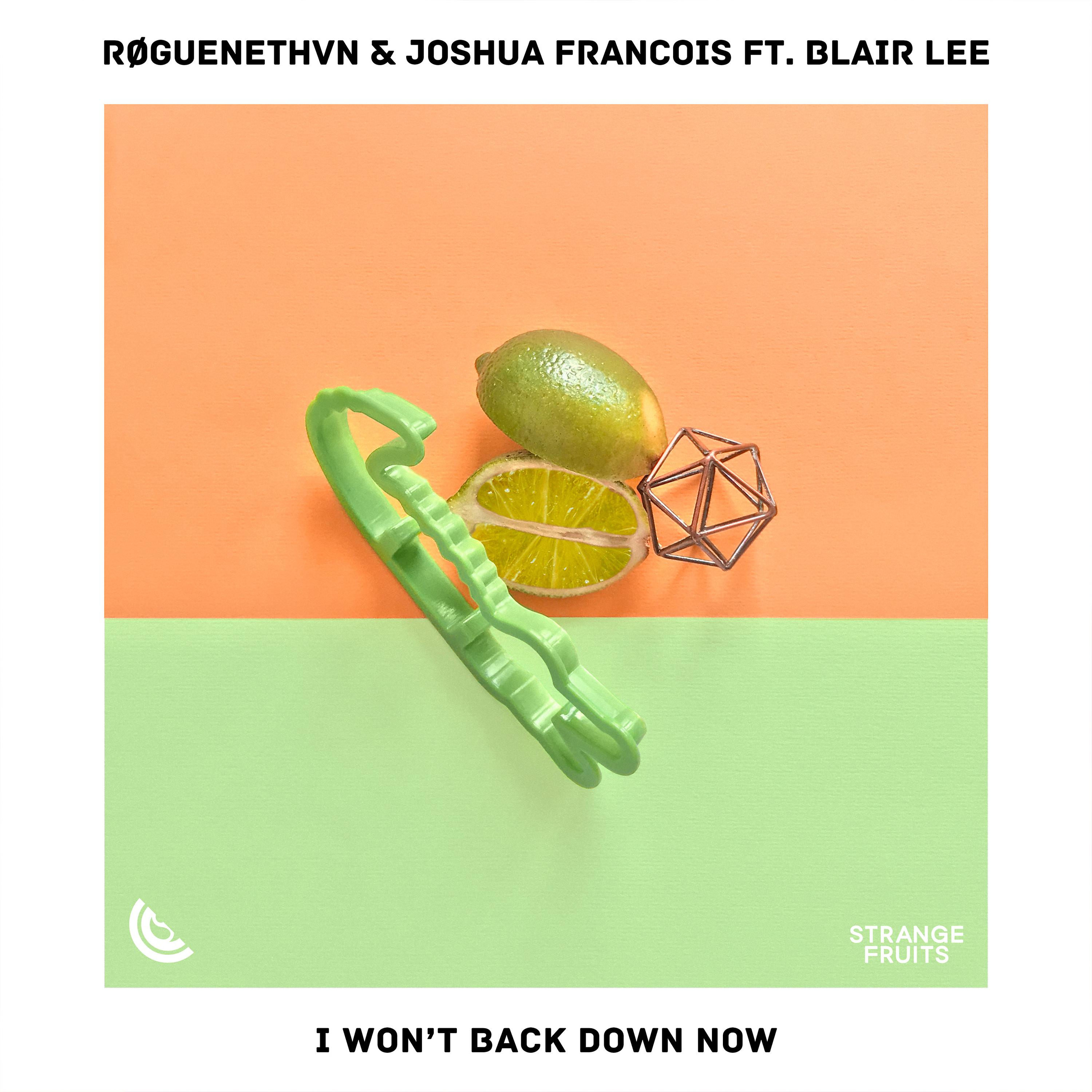 Постер альбома I Won't Back Down Now (feat. Blair Lee)