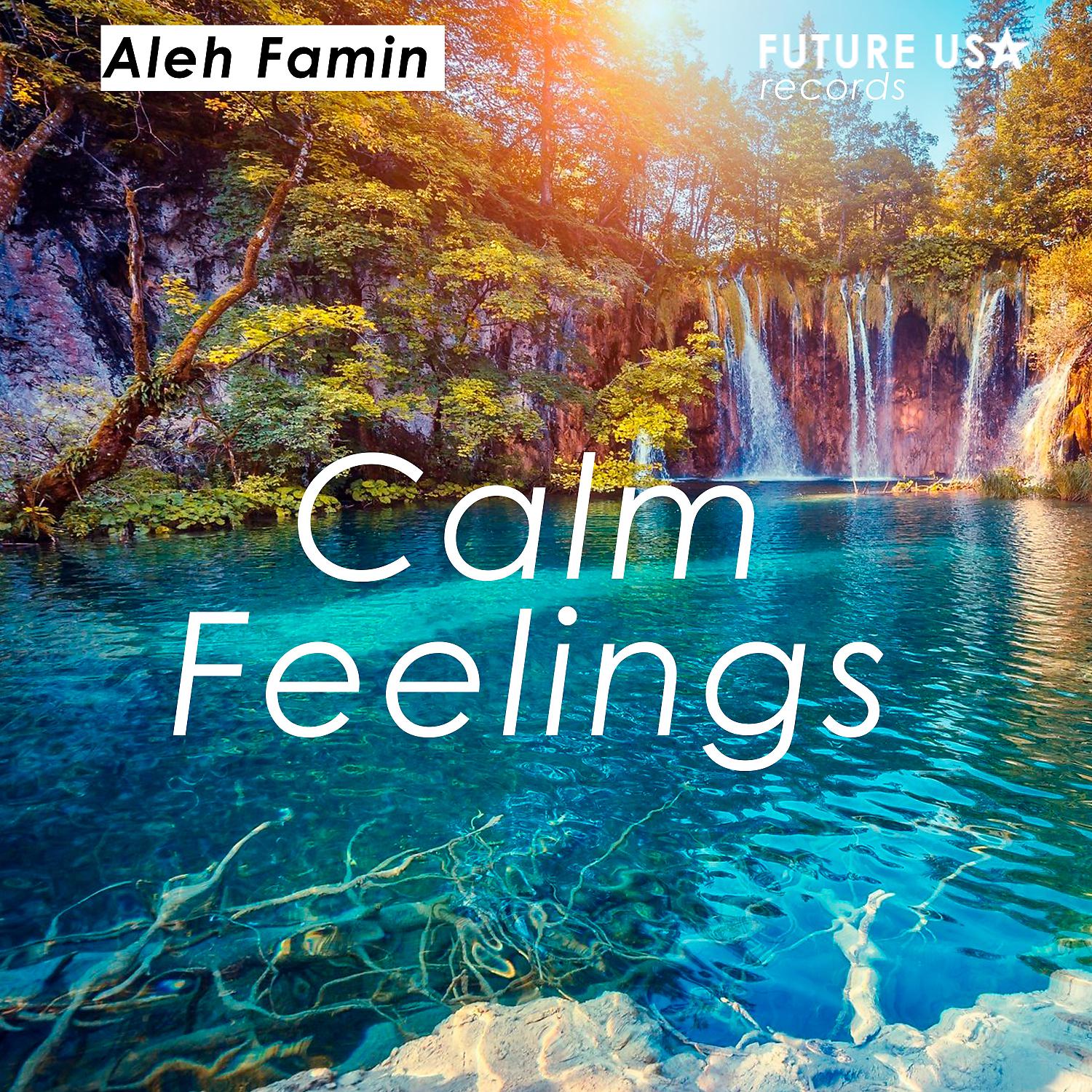 Постер альбома Calm Feelings