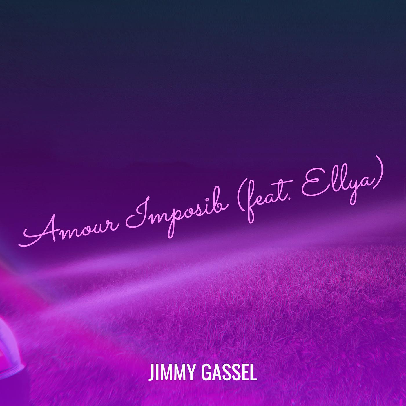 Постер альбома Amour Imposib