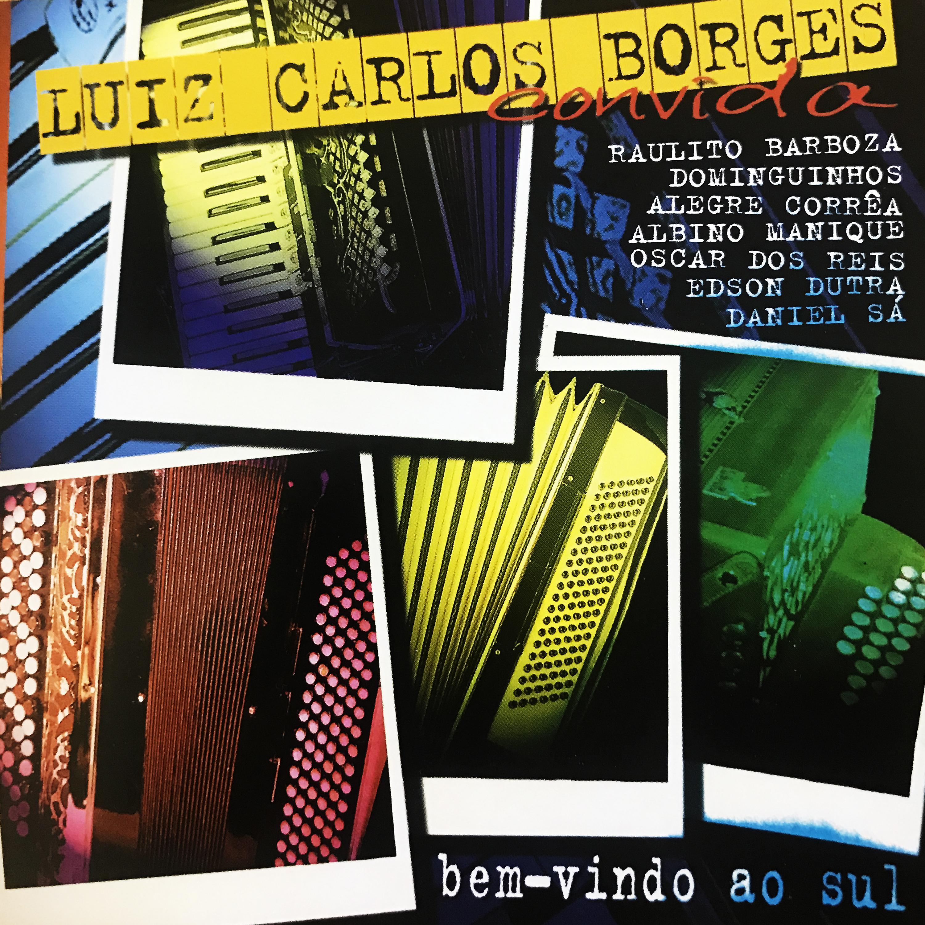 Постер альбома Luiz Carlos Borger Convida: Bem-Vindo Ao Sul
