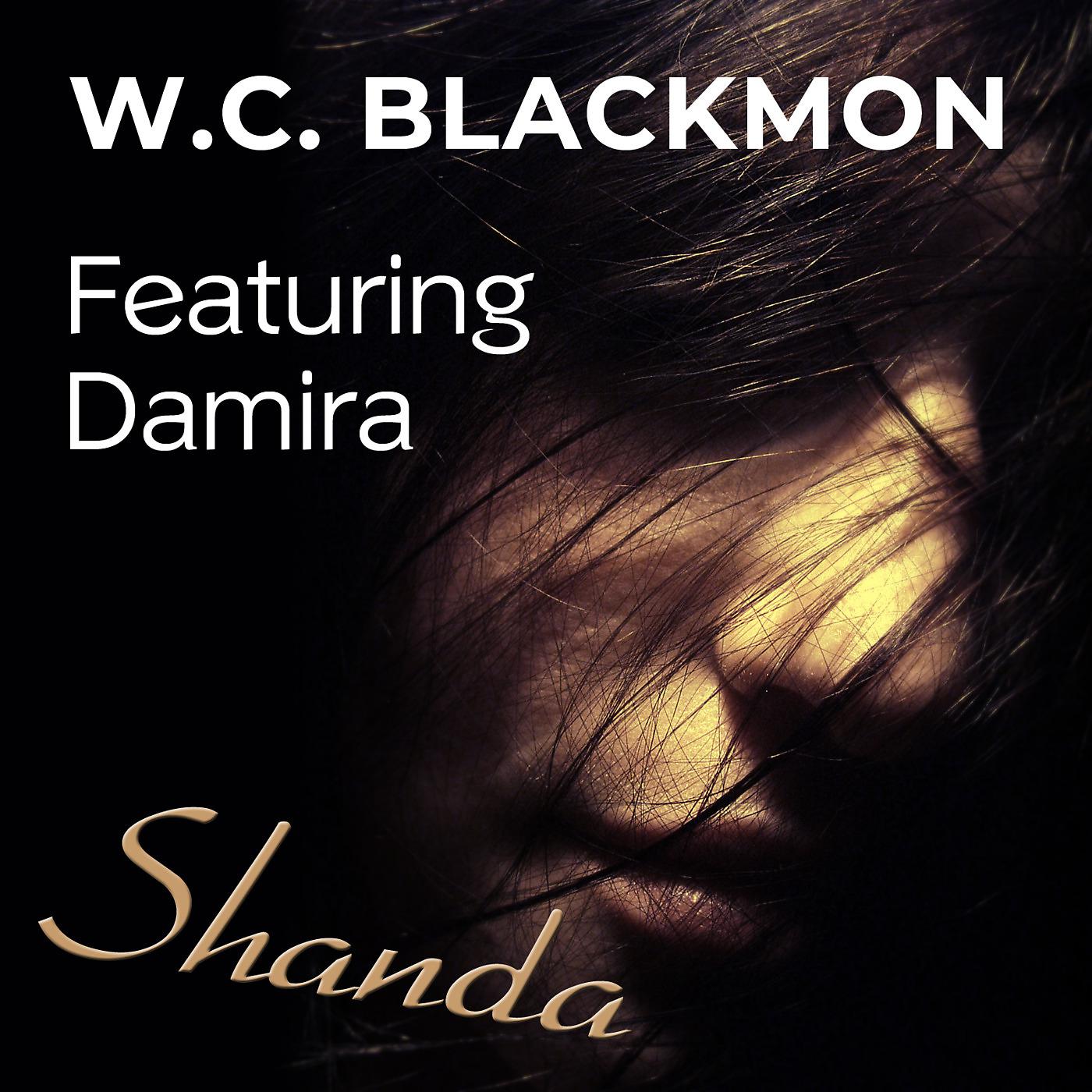Постер альбома Shanda