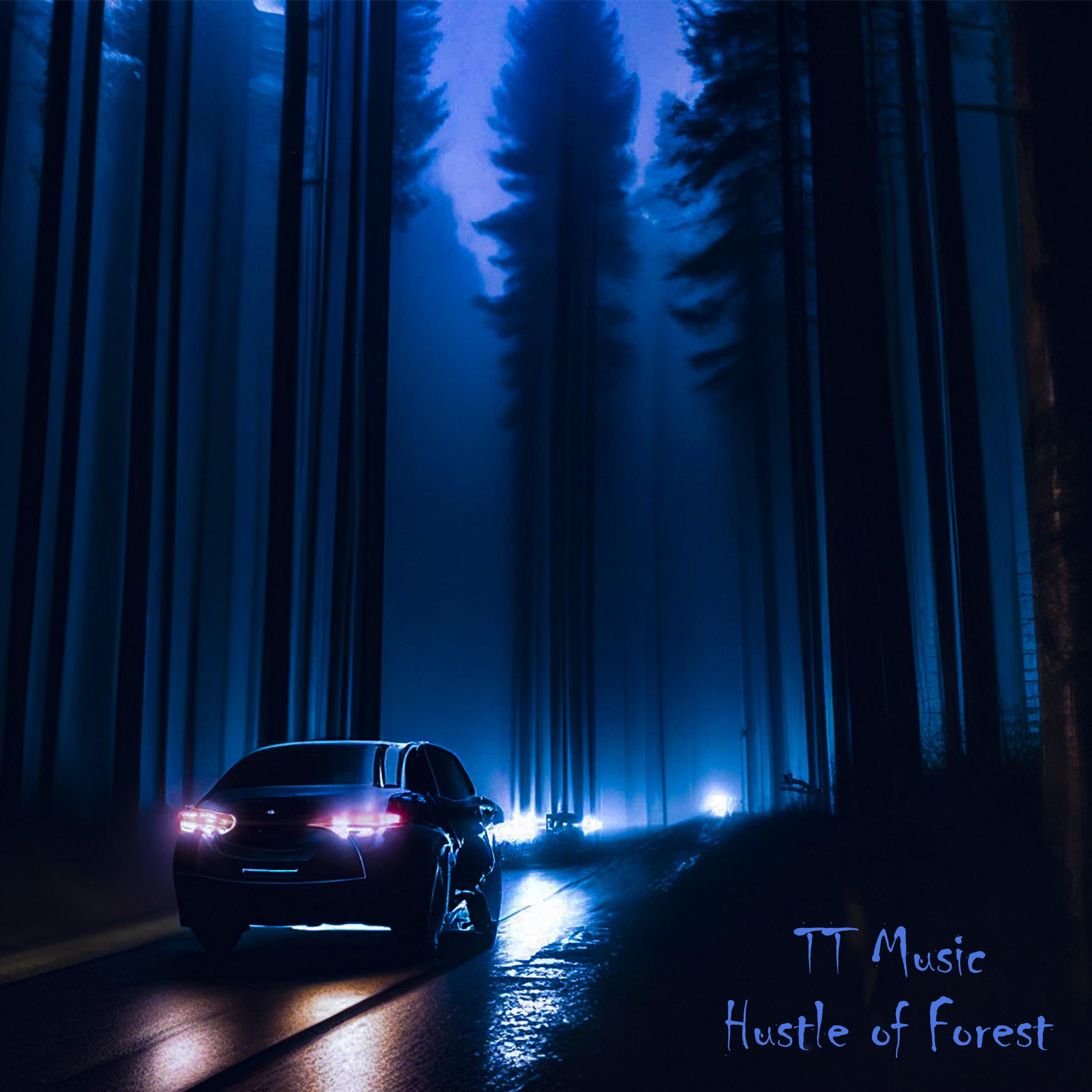 Постер альбома Hustle of Forest