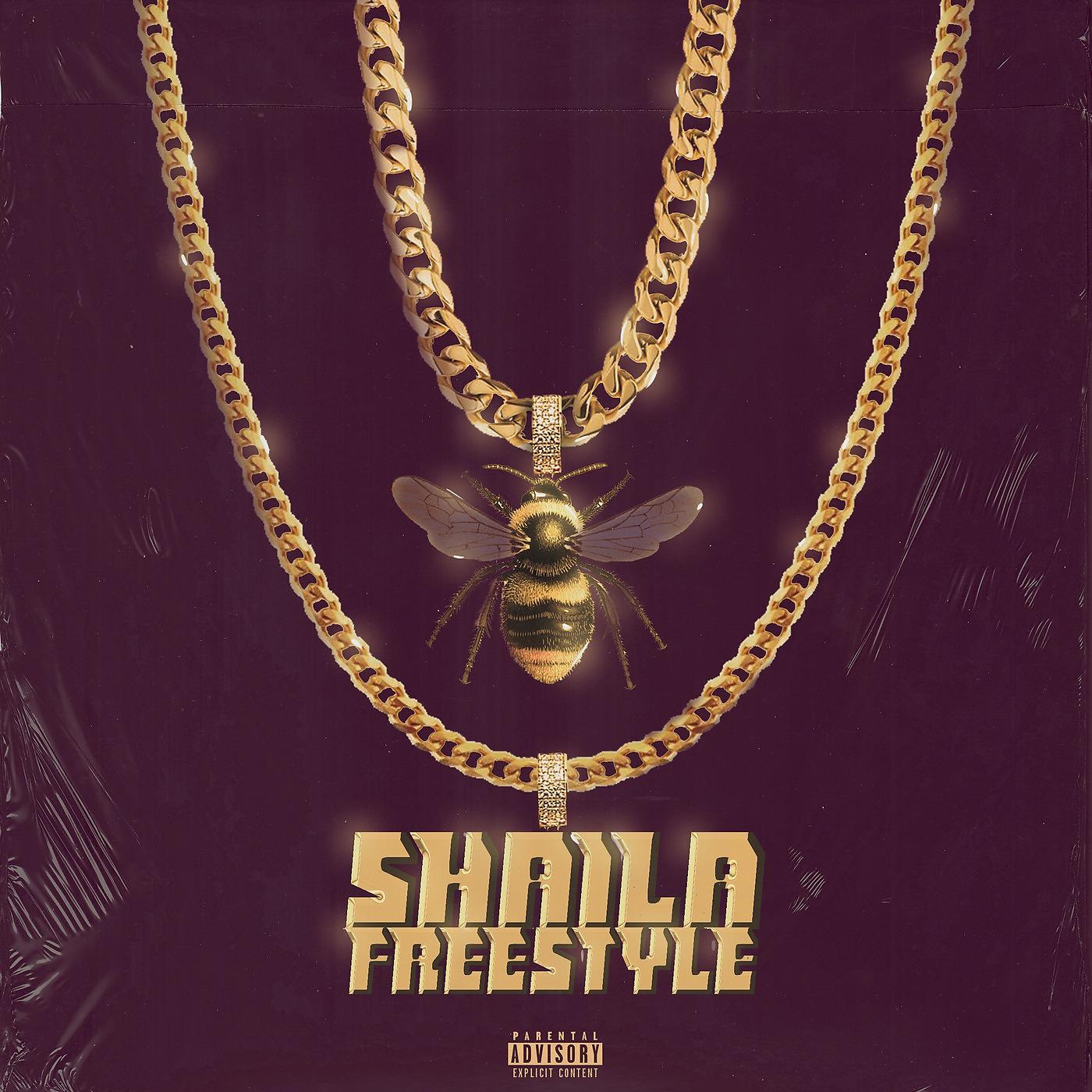 Постер альбома Shaila freestyle