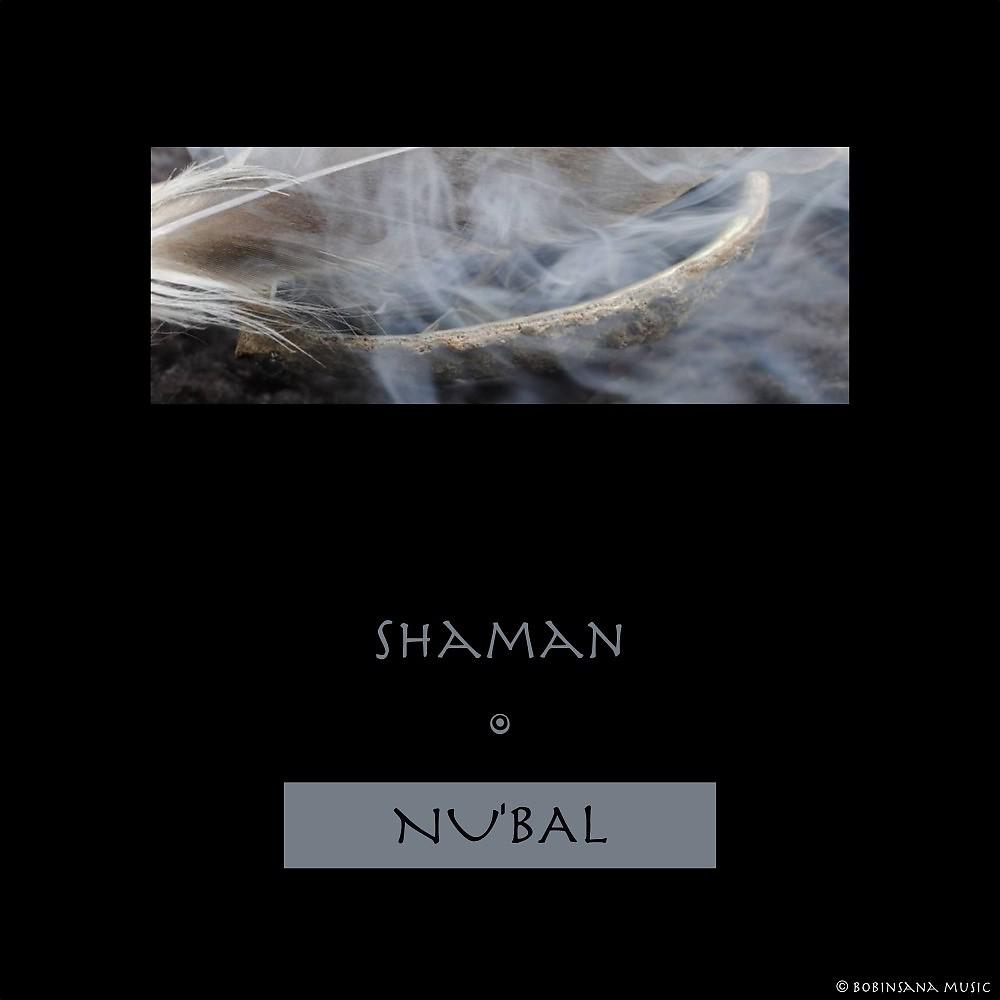 Постер альбома Shaman (Original Mix)