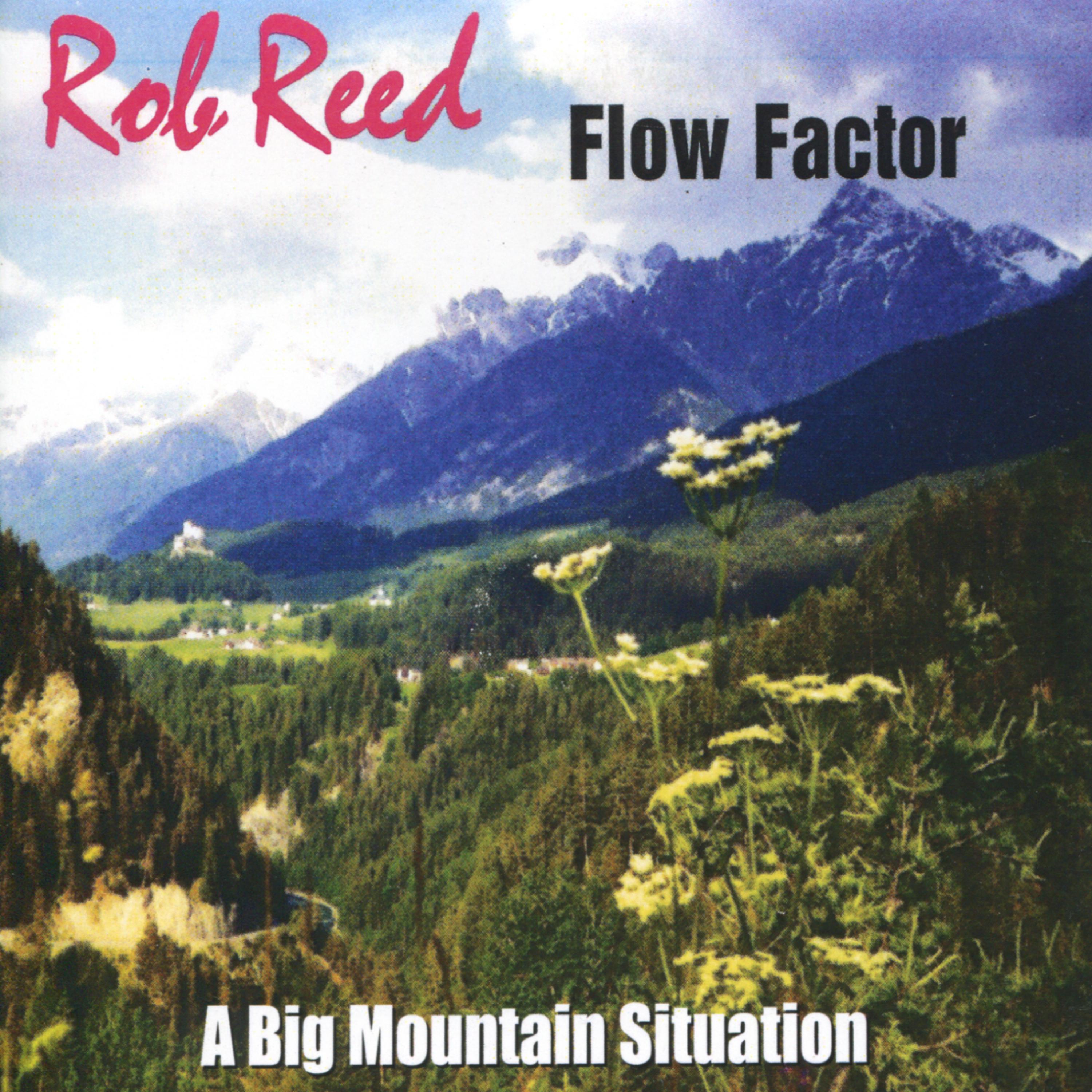 Постер альбома Flow Factor