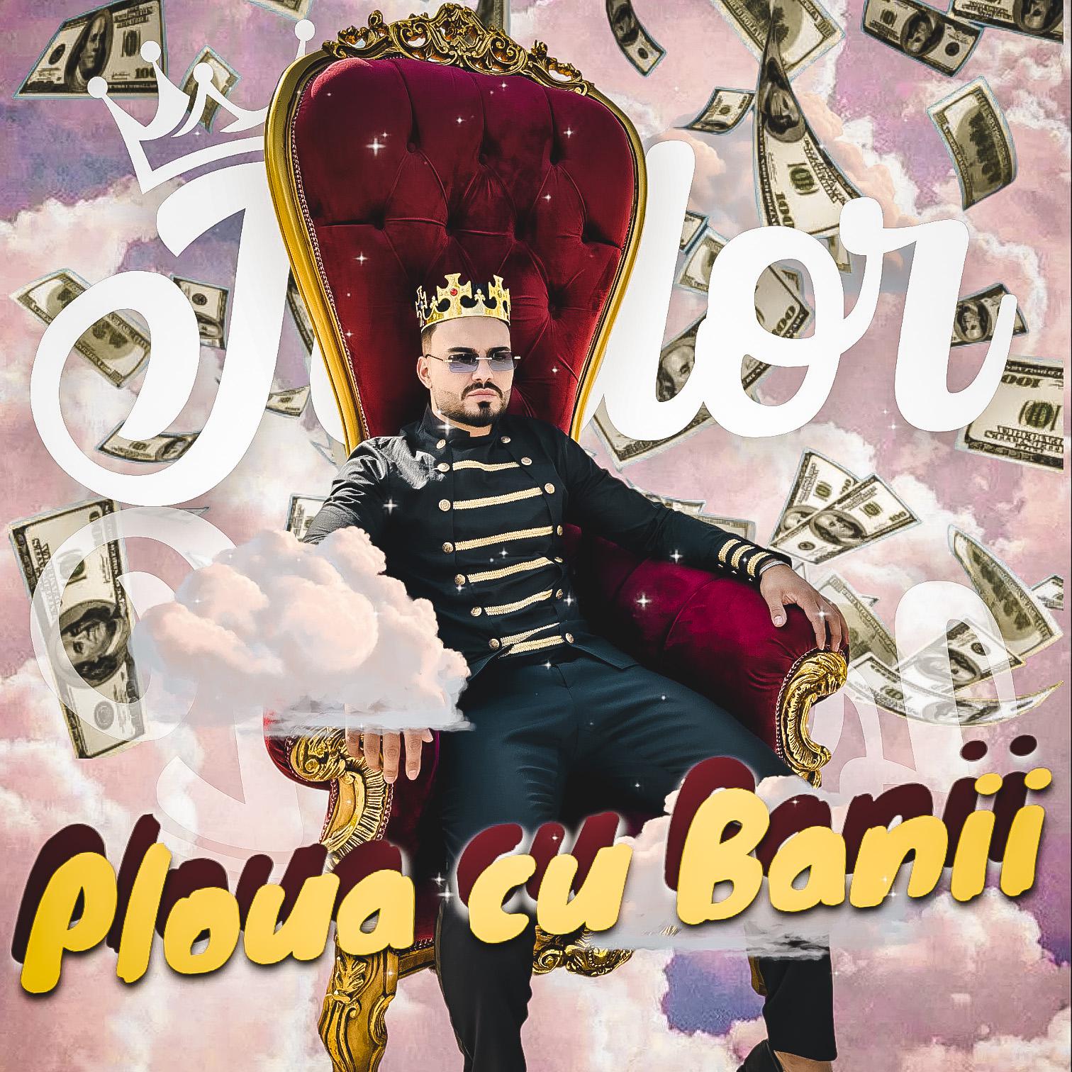 Постер альбома Ploua cu banii