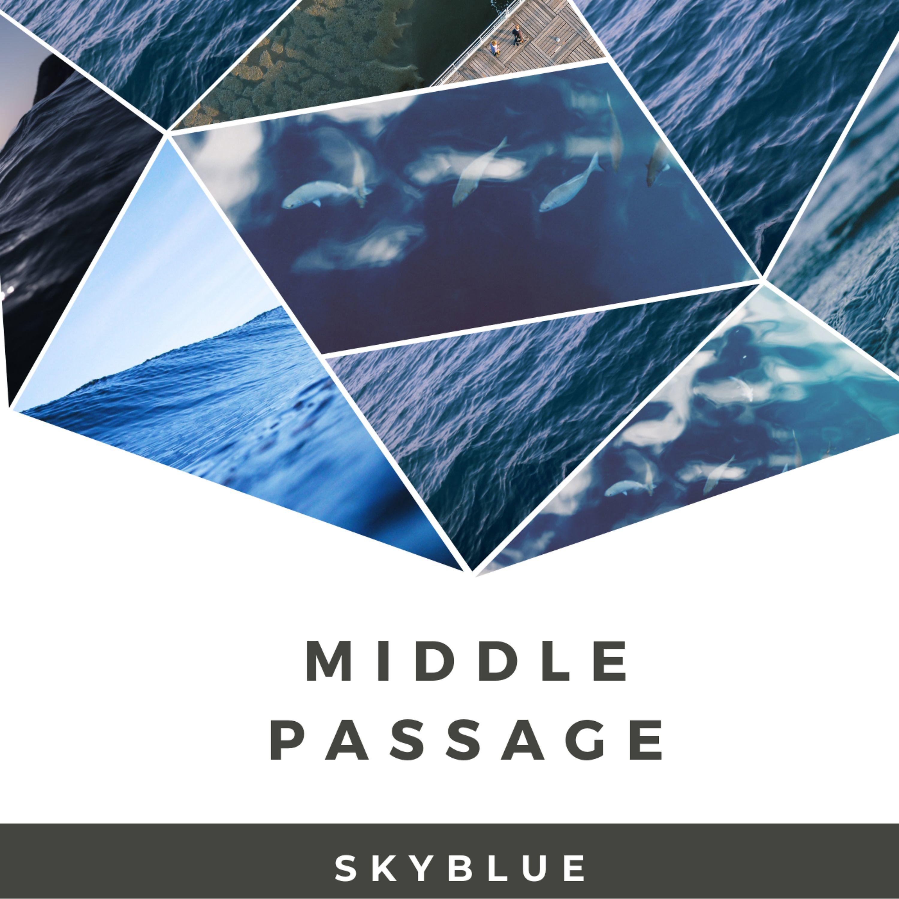 Постер альбома Middle Passage