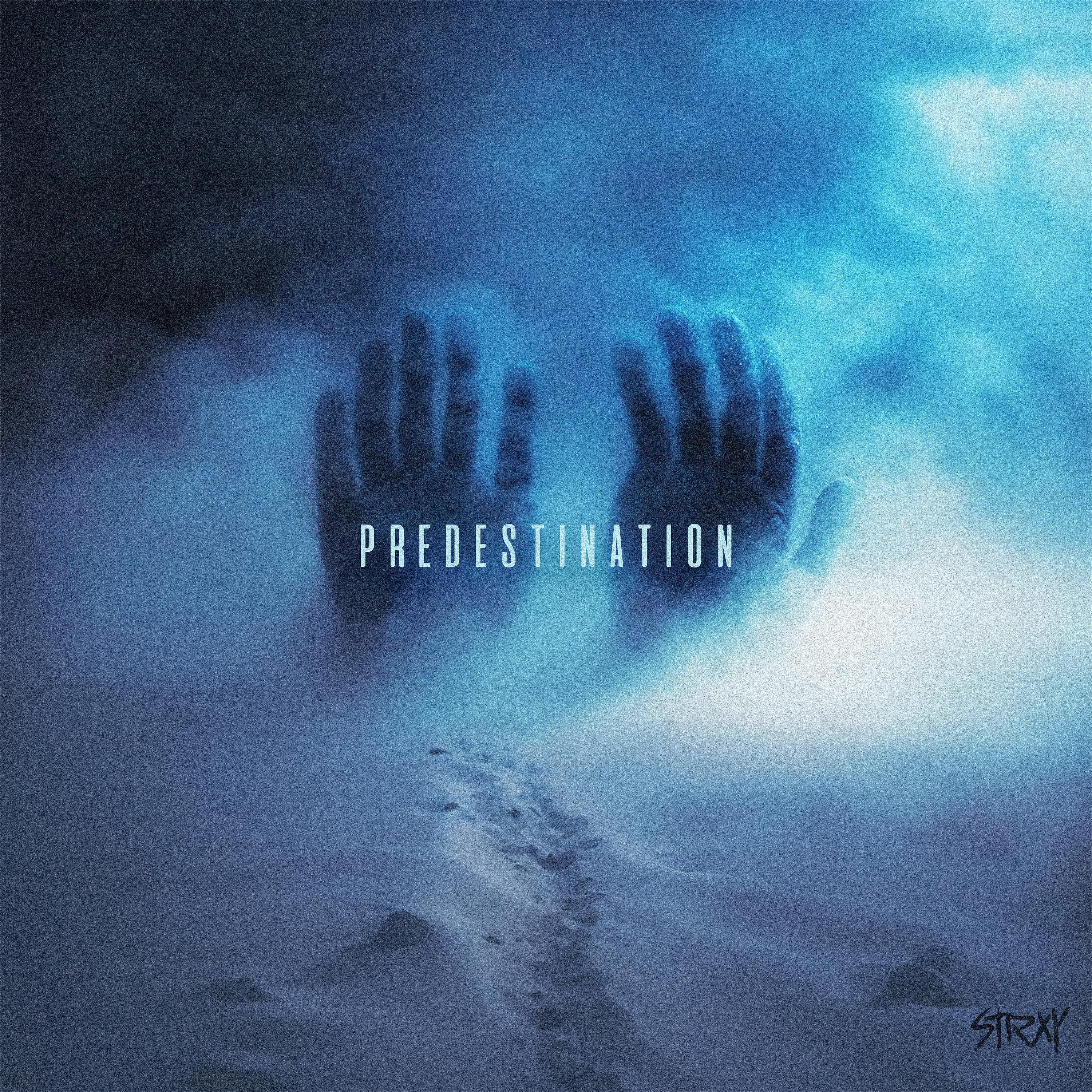 Постер альбома Predestination