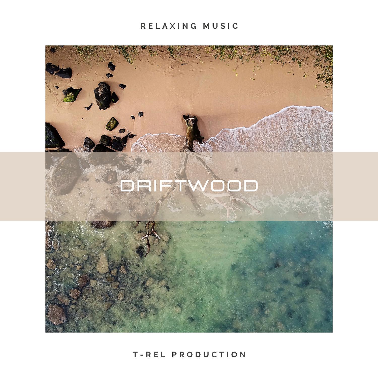 Постер альбома Driftwood