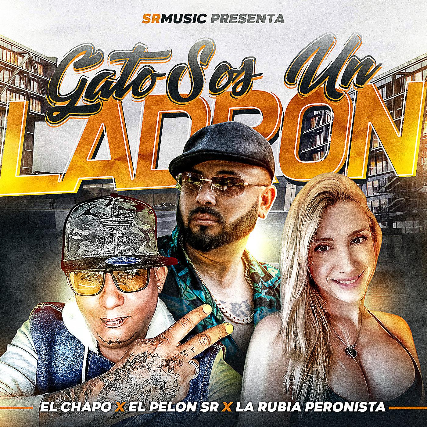 Постер альбома Gato Sos un Ladron