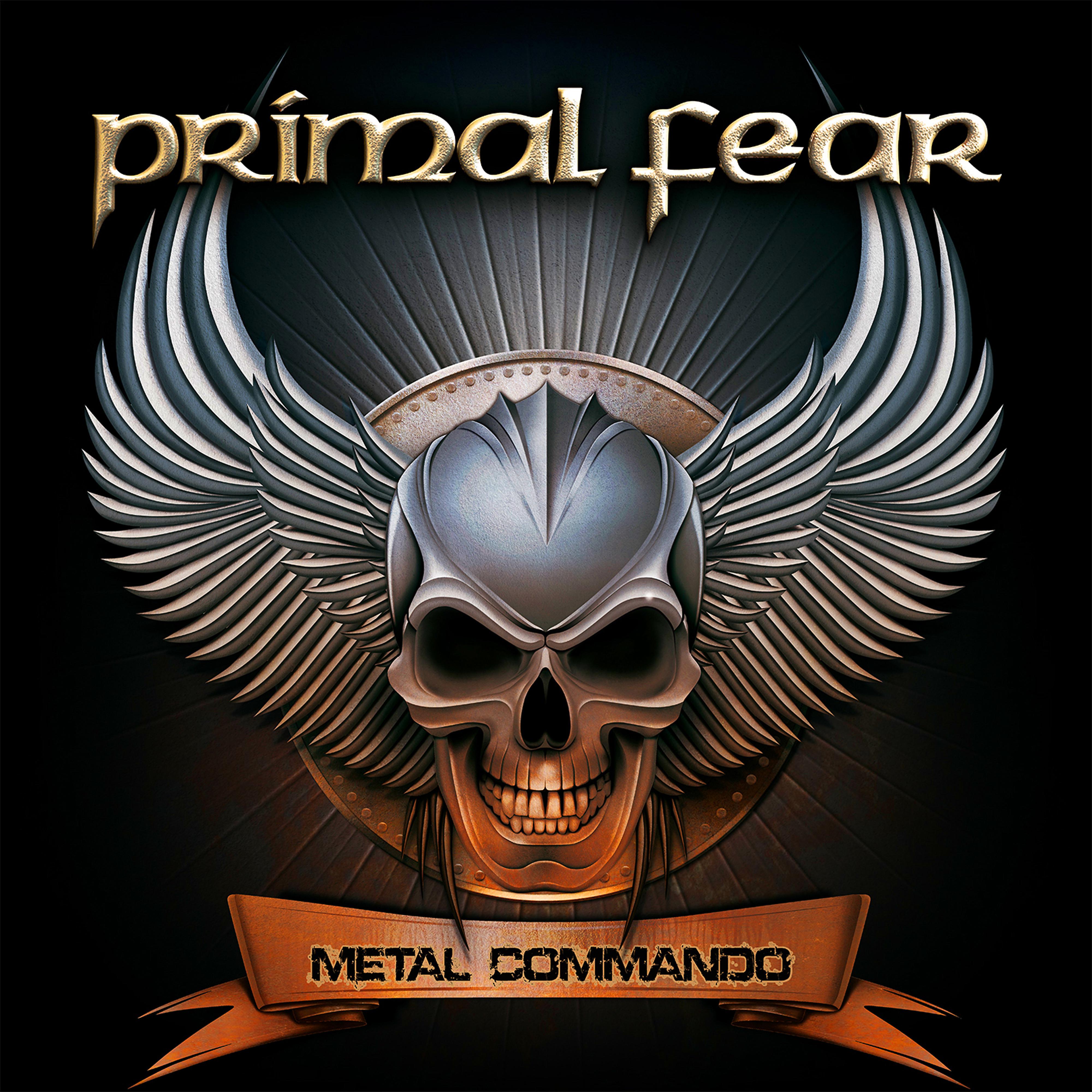 Постер альбома Metal Commando