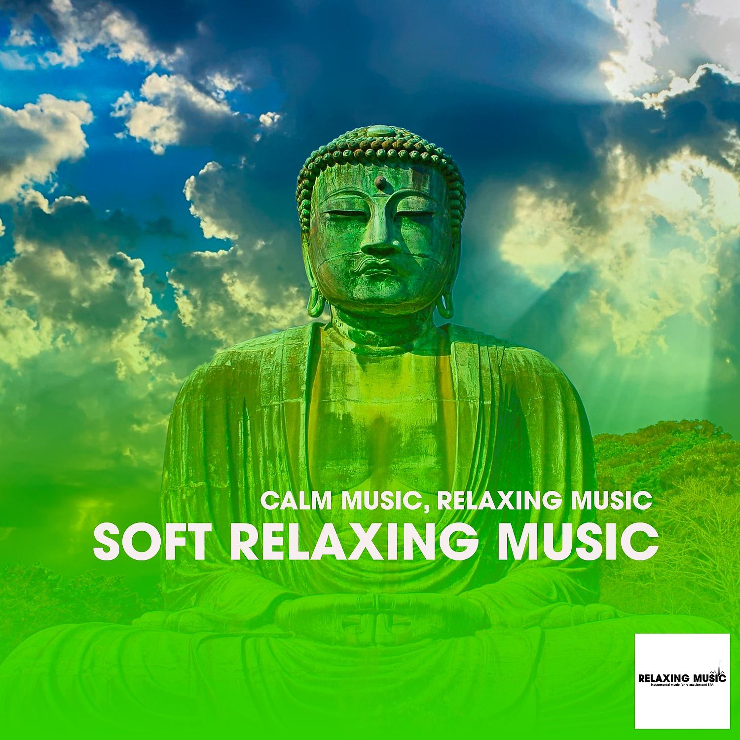 Постер альбома Soft Relaxing Music