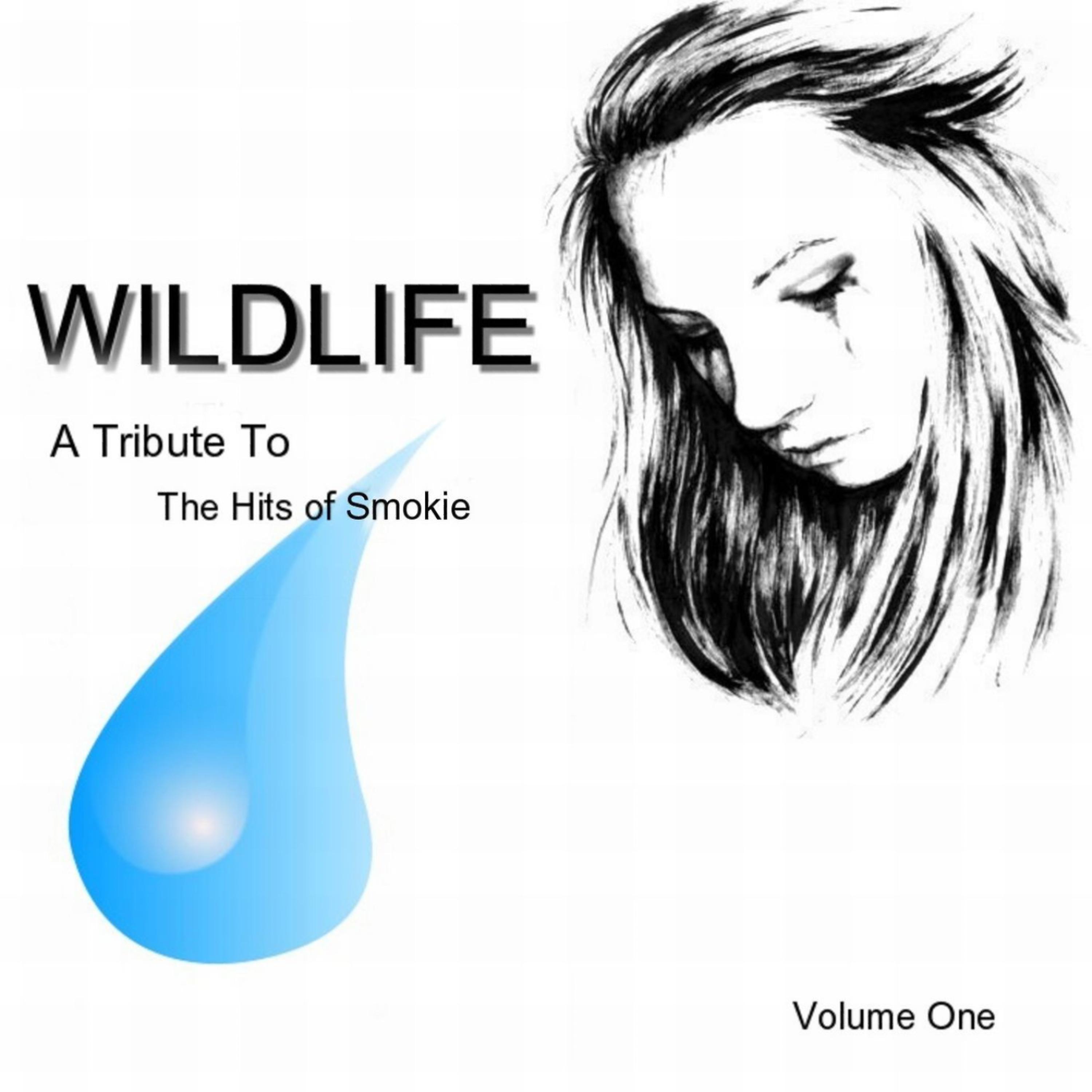 Постер альбома Tribute to the Hits of Smokie Vol. 1