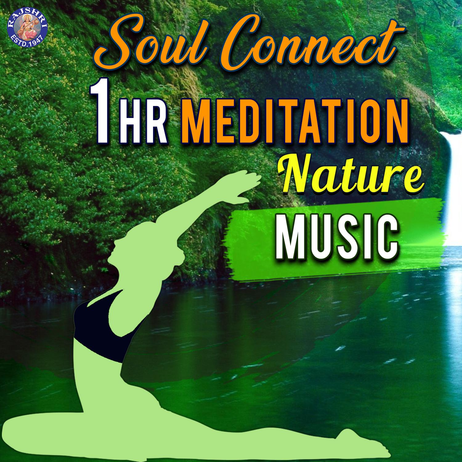 Постер альбома Nature - Soul Connect - Meditation Music