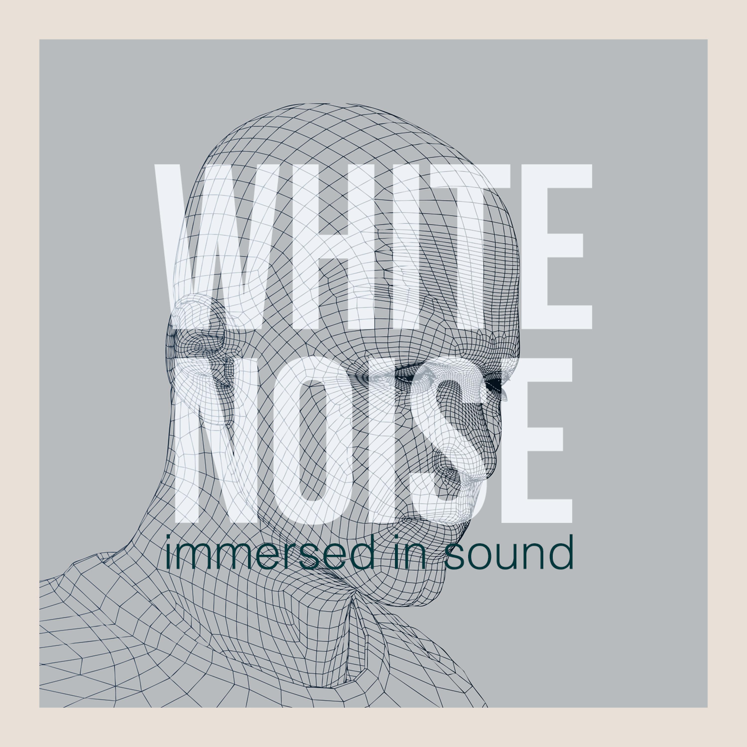 Постер альбома White Noise: Immersed in Sound