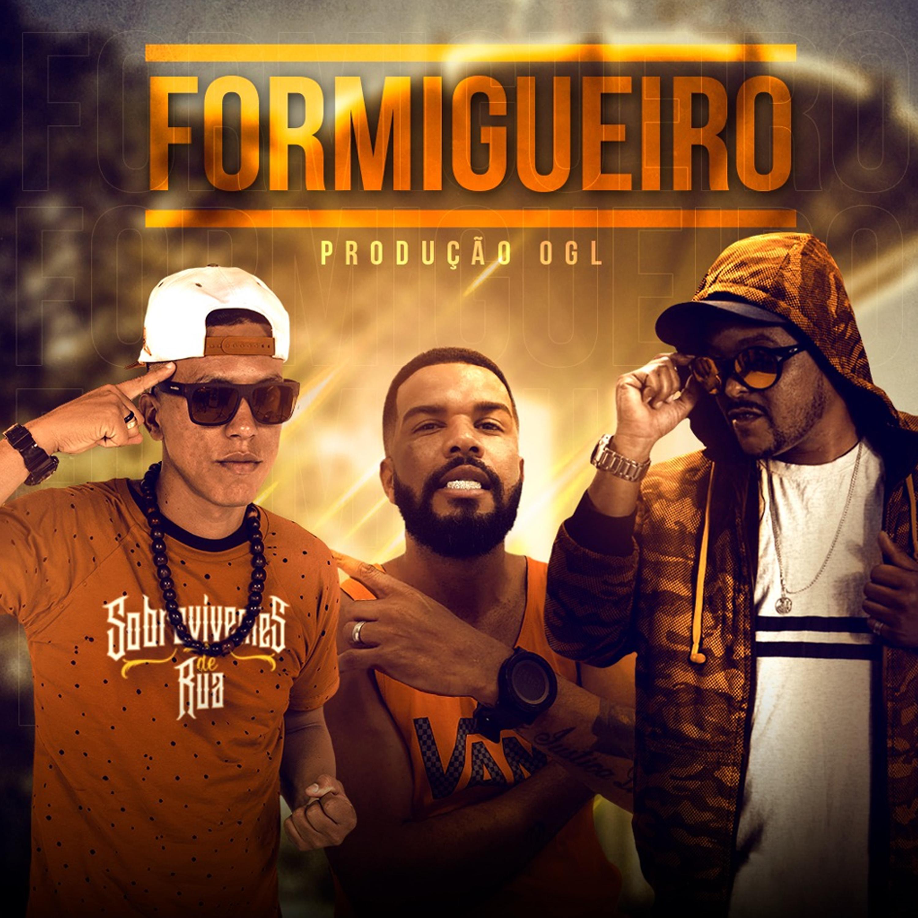Постер альбома Formigueiro
