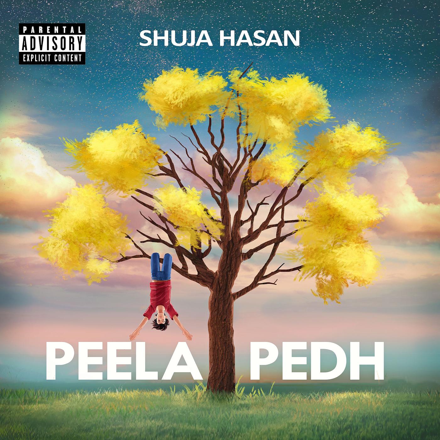 Постер альбома Peela Pedh