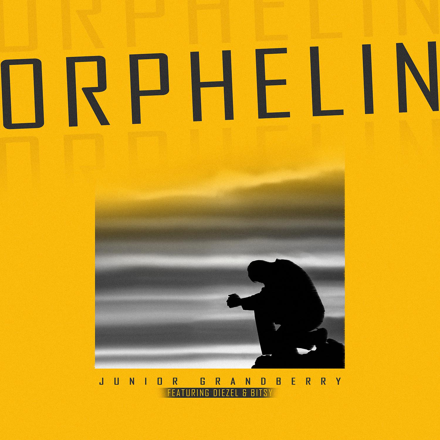 Постер альбома Orphelin (feat. Diezel & Bitsy)
