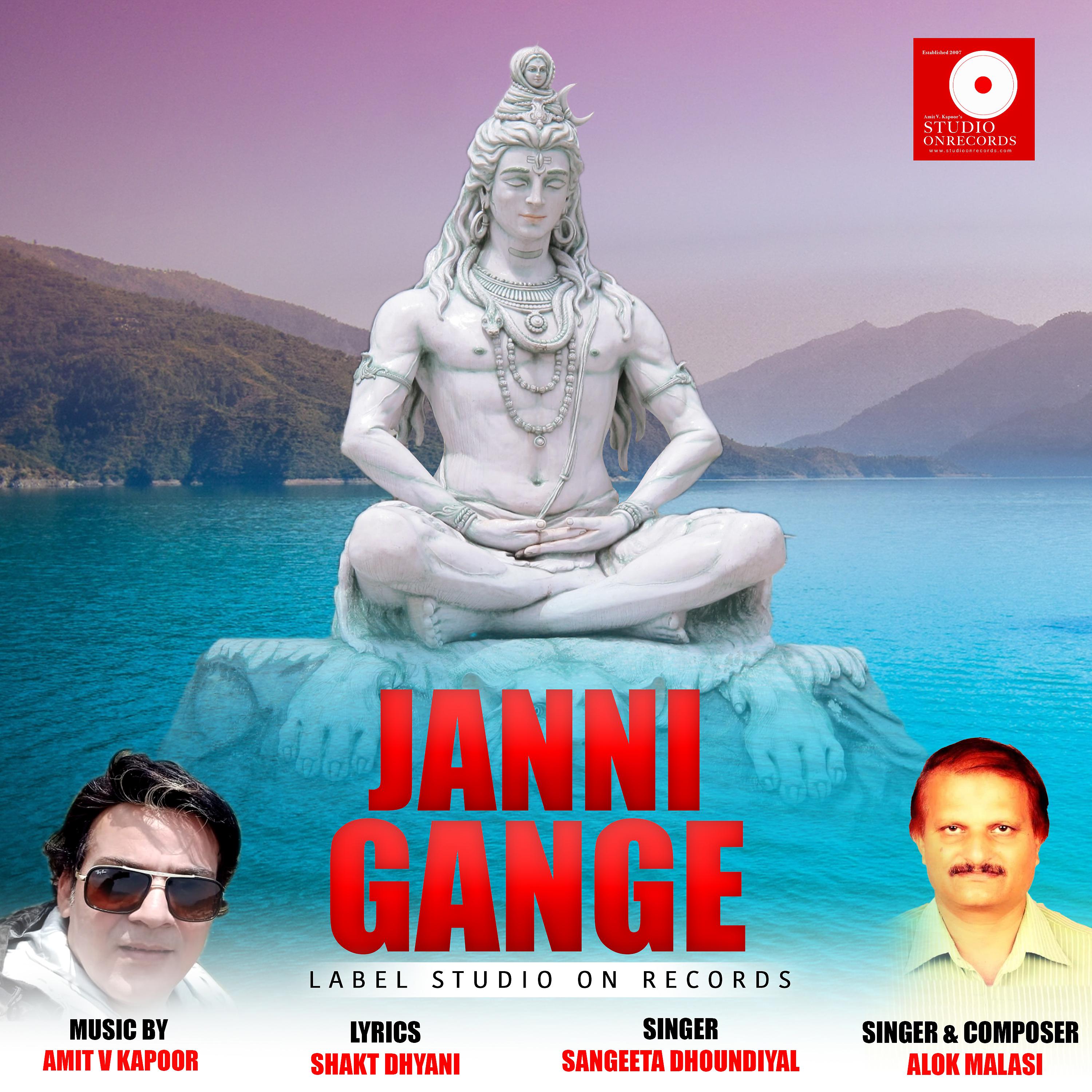 Постер альбома Janni Gange