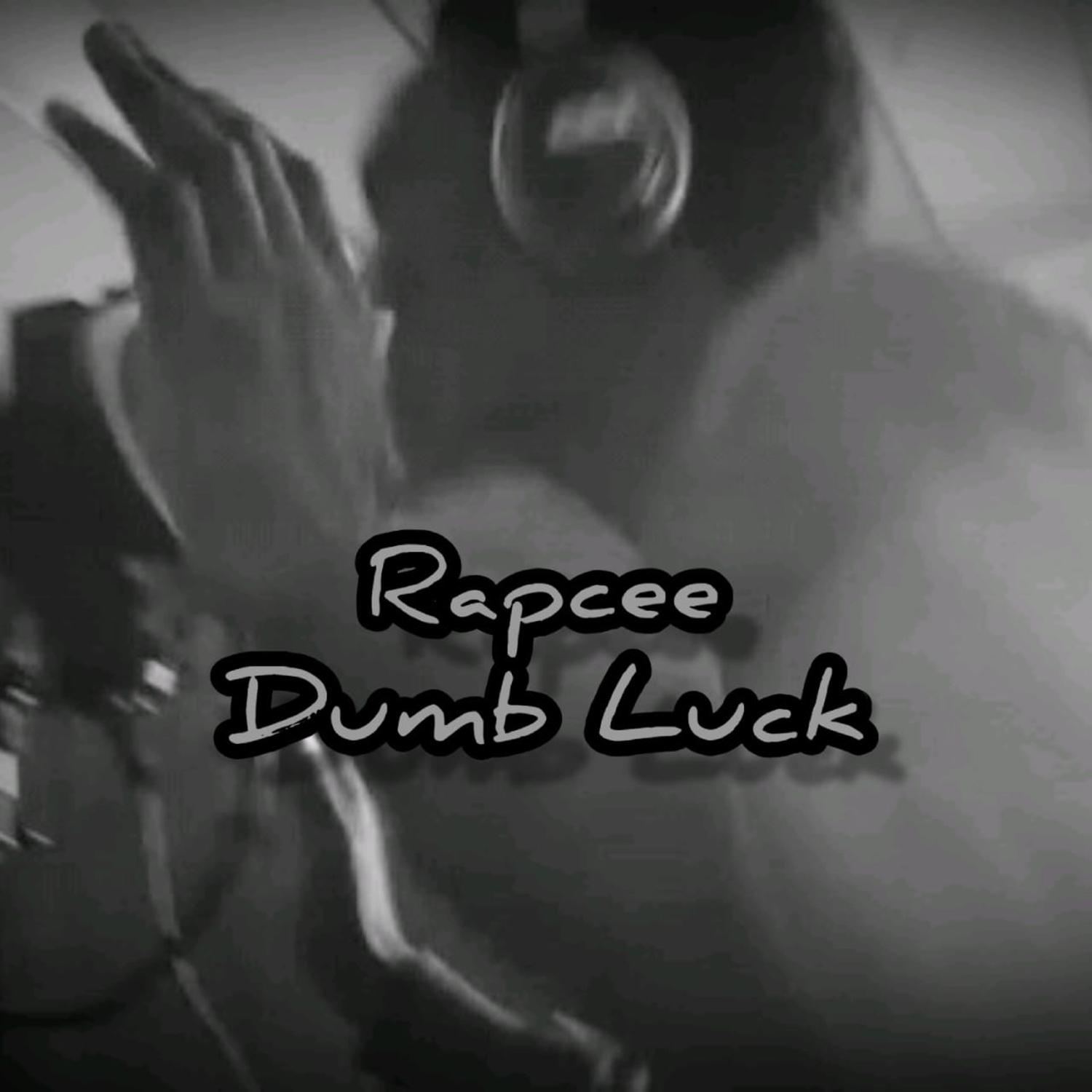 Постер альбома Dumb Luck