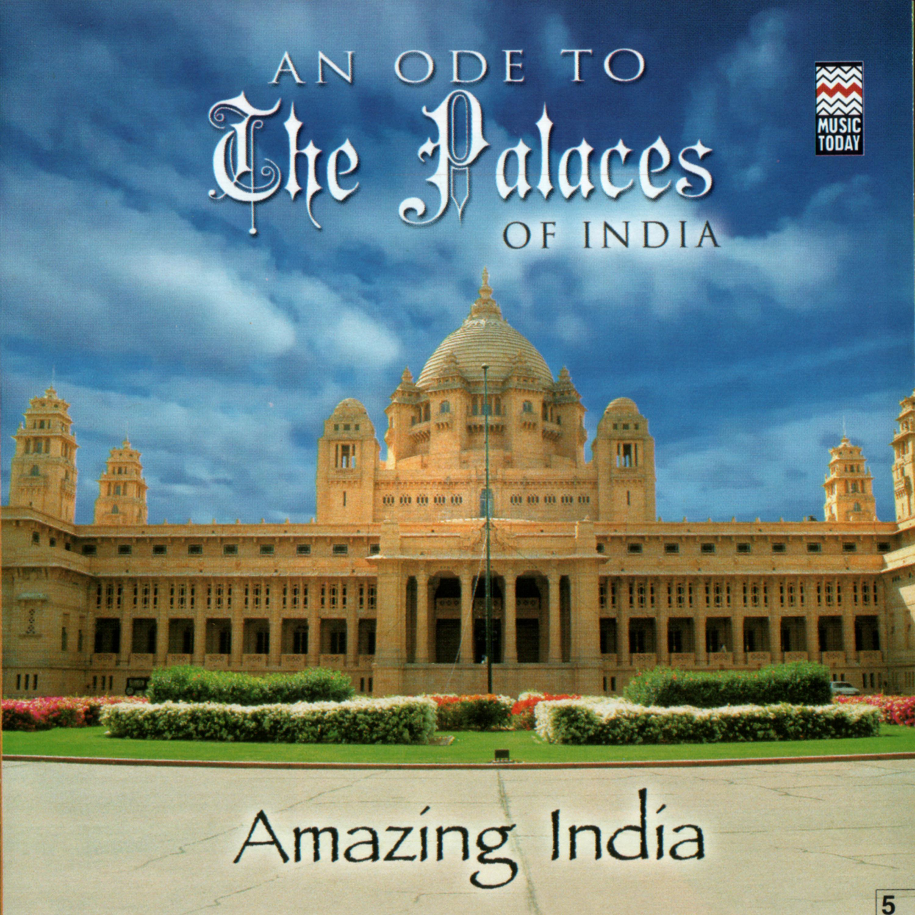 Постер альбома Amazing India - An Ode To The Palaces Of India