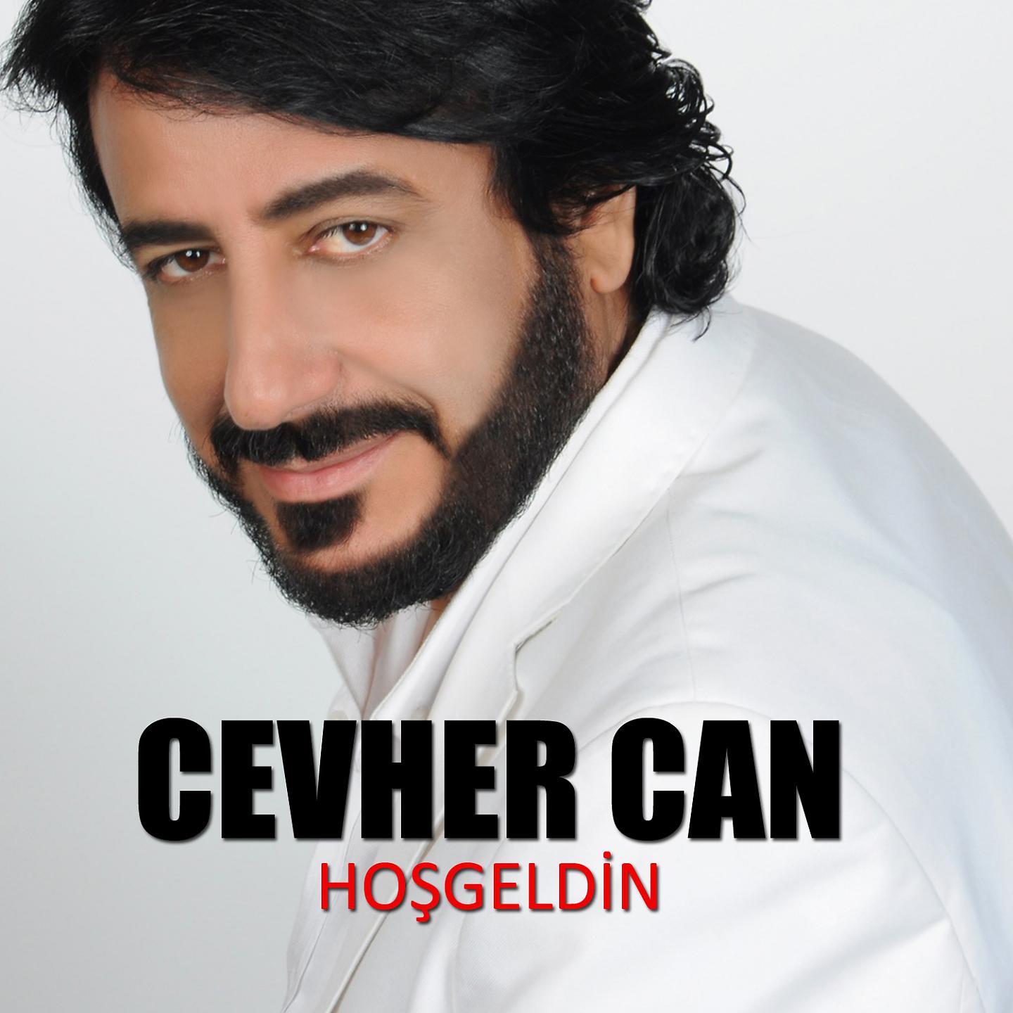 Постер альбома Hoşgeldin