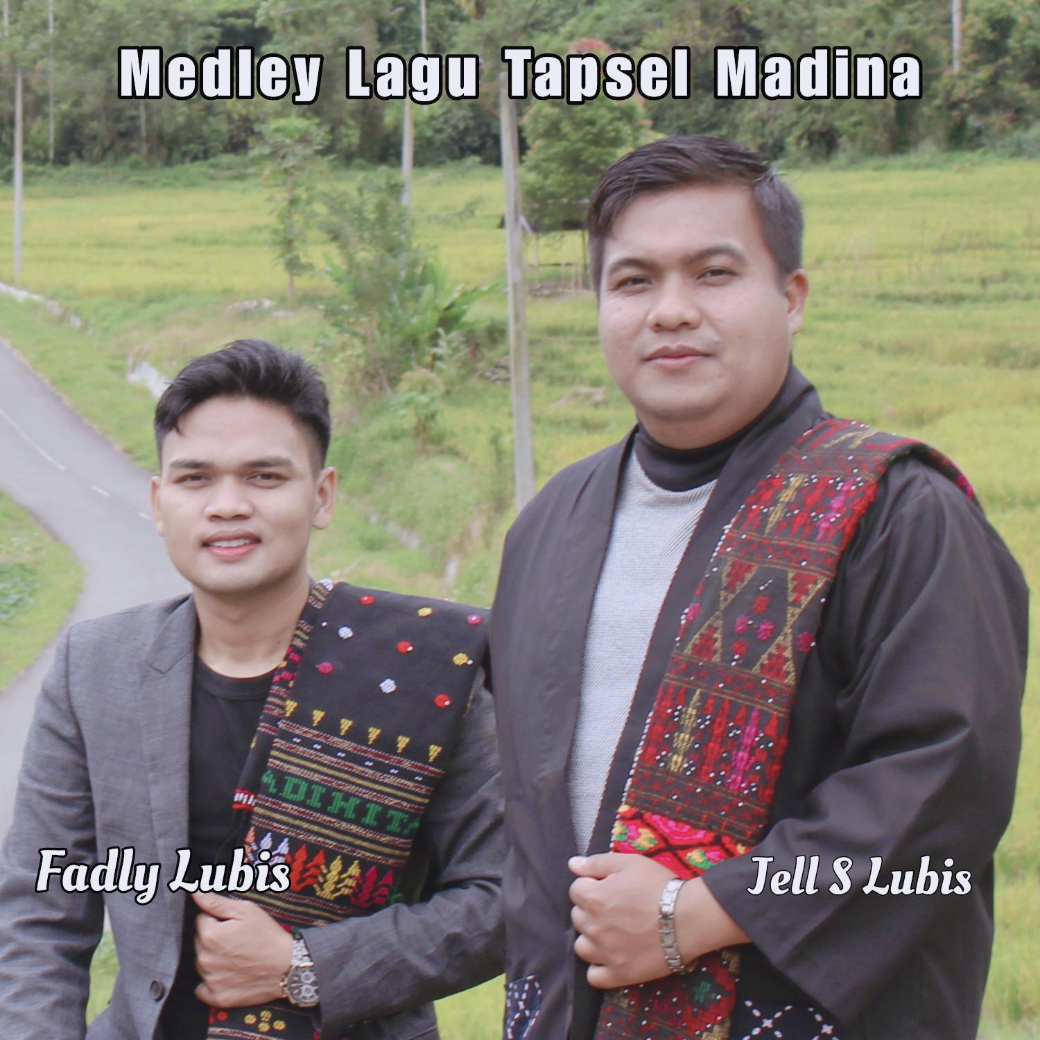 Постер альбома Medley Lagu Tapsel Madina