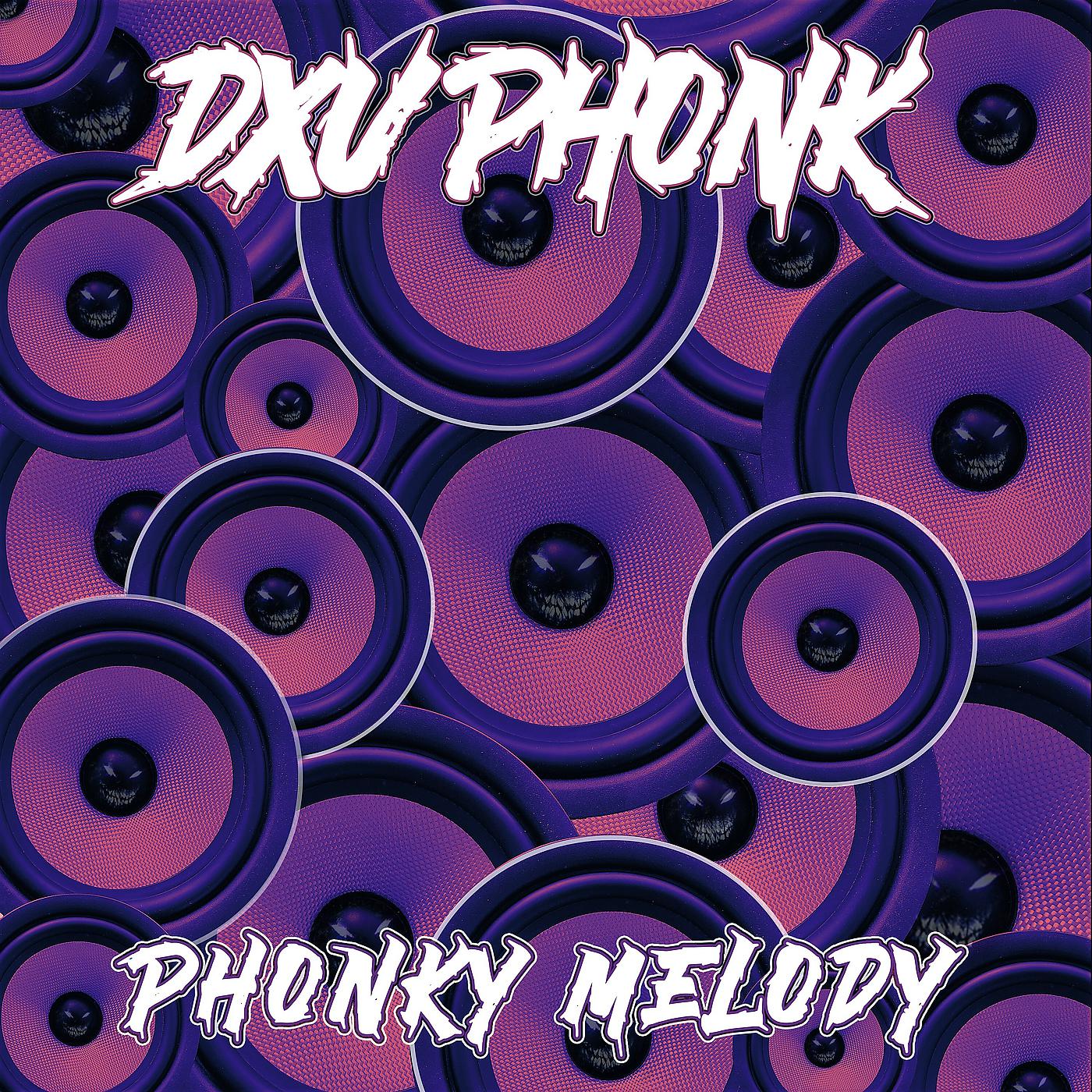 Постер альбома Phonky Melody