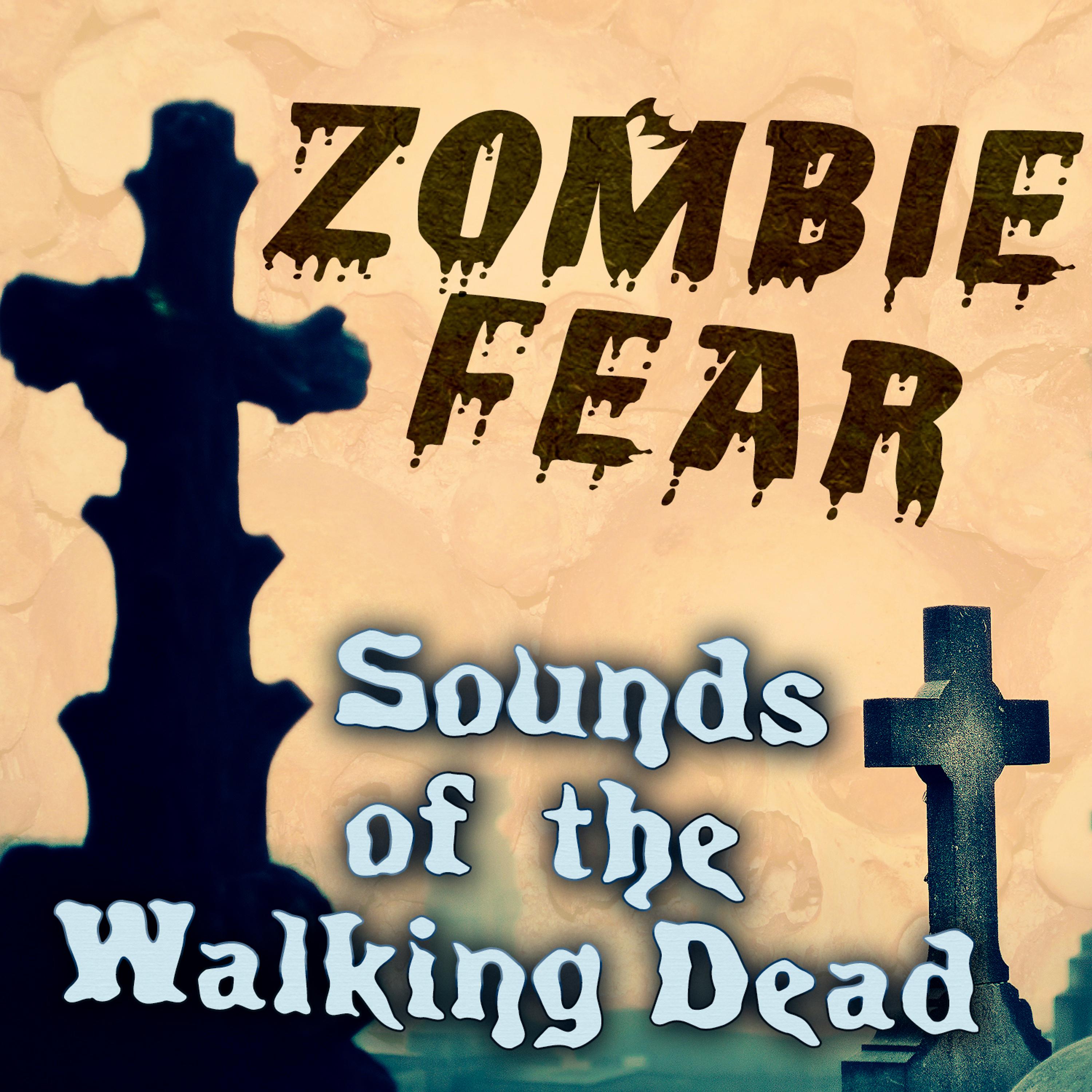 Постер альбома Zombie Fear: Sounds of the Walking Dead