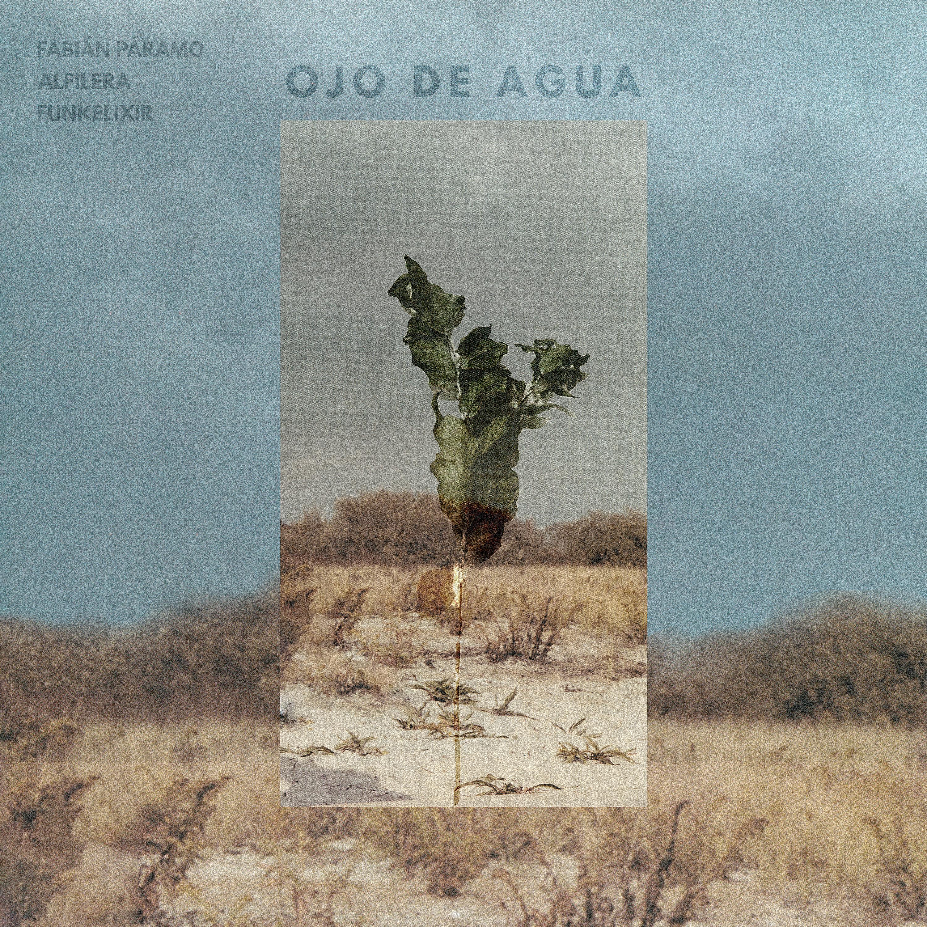 Постер альбома Ojo de Agua