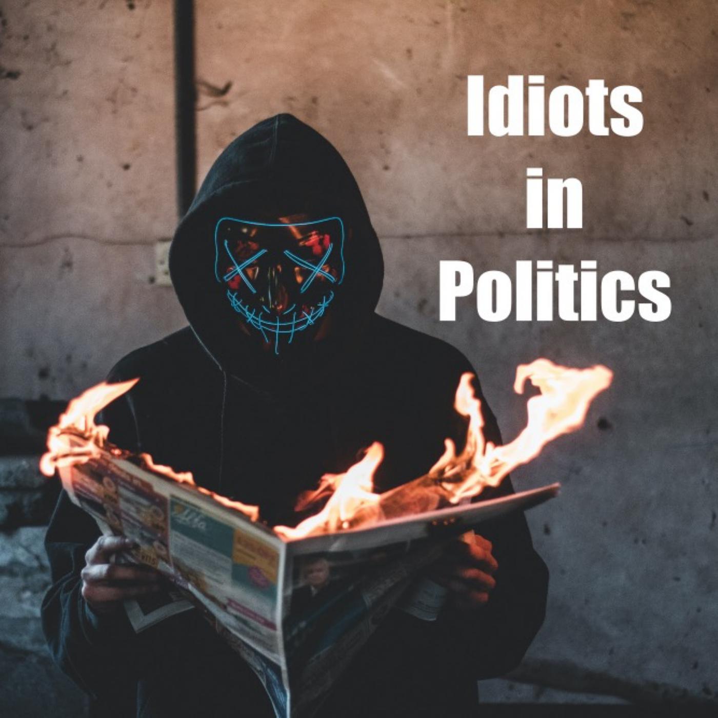 Постер альбома Idiots in Politics