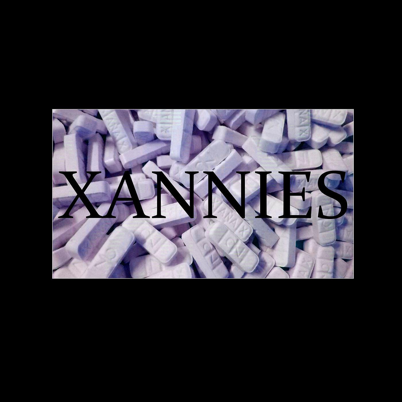 Постер альбома Xannies