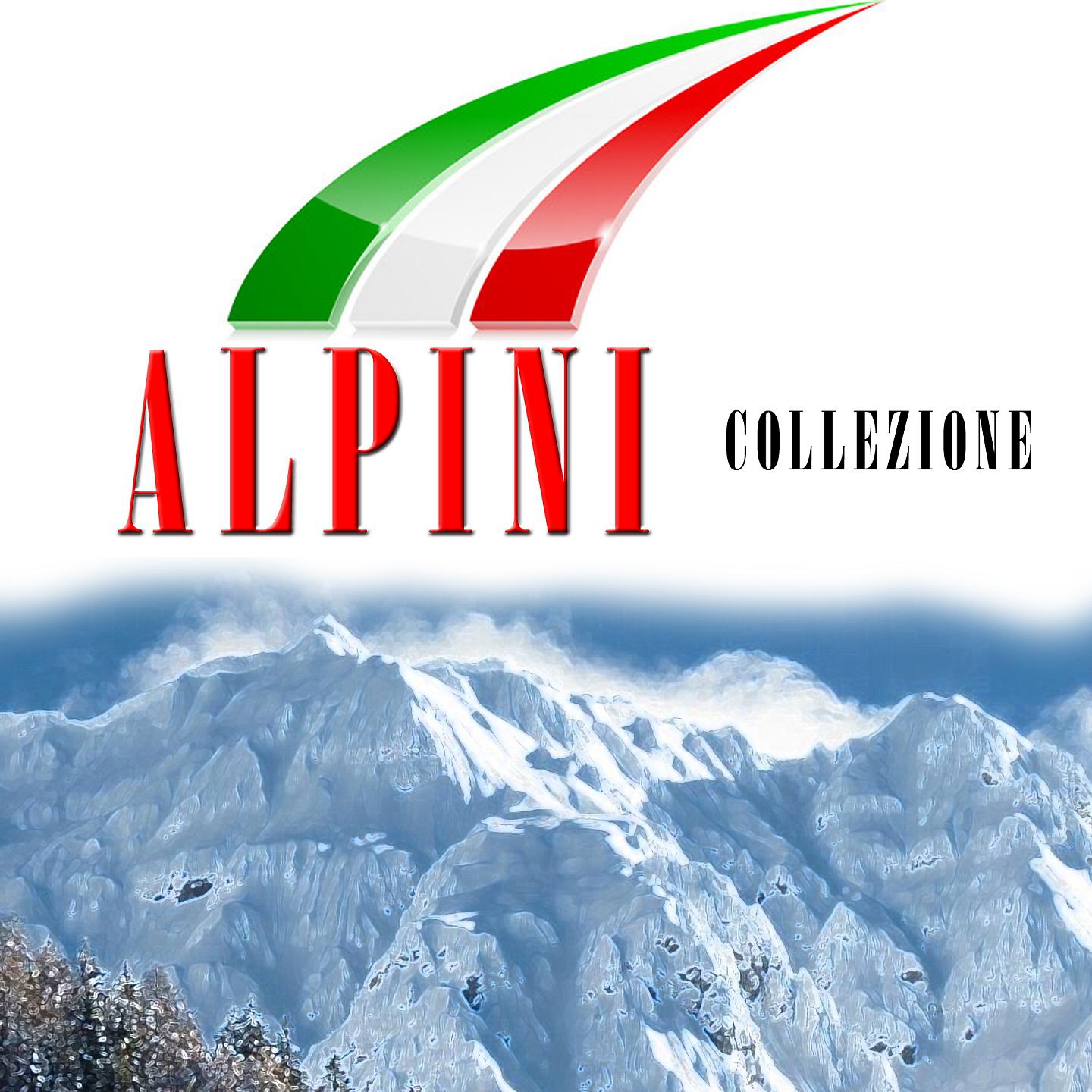 Постер альбома Alpini