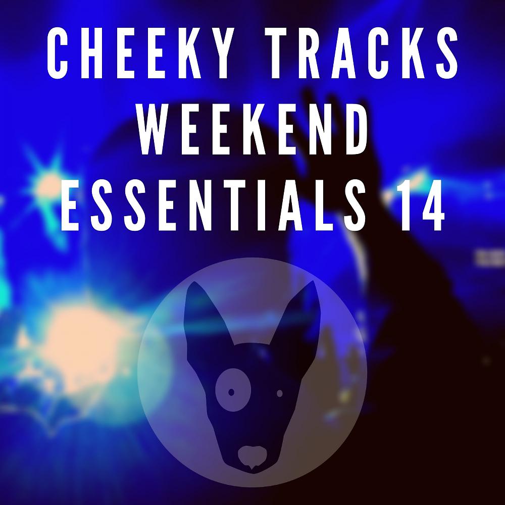 Постер альбома Cheeky Tracks Weekend Essentials 14