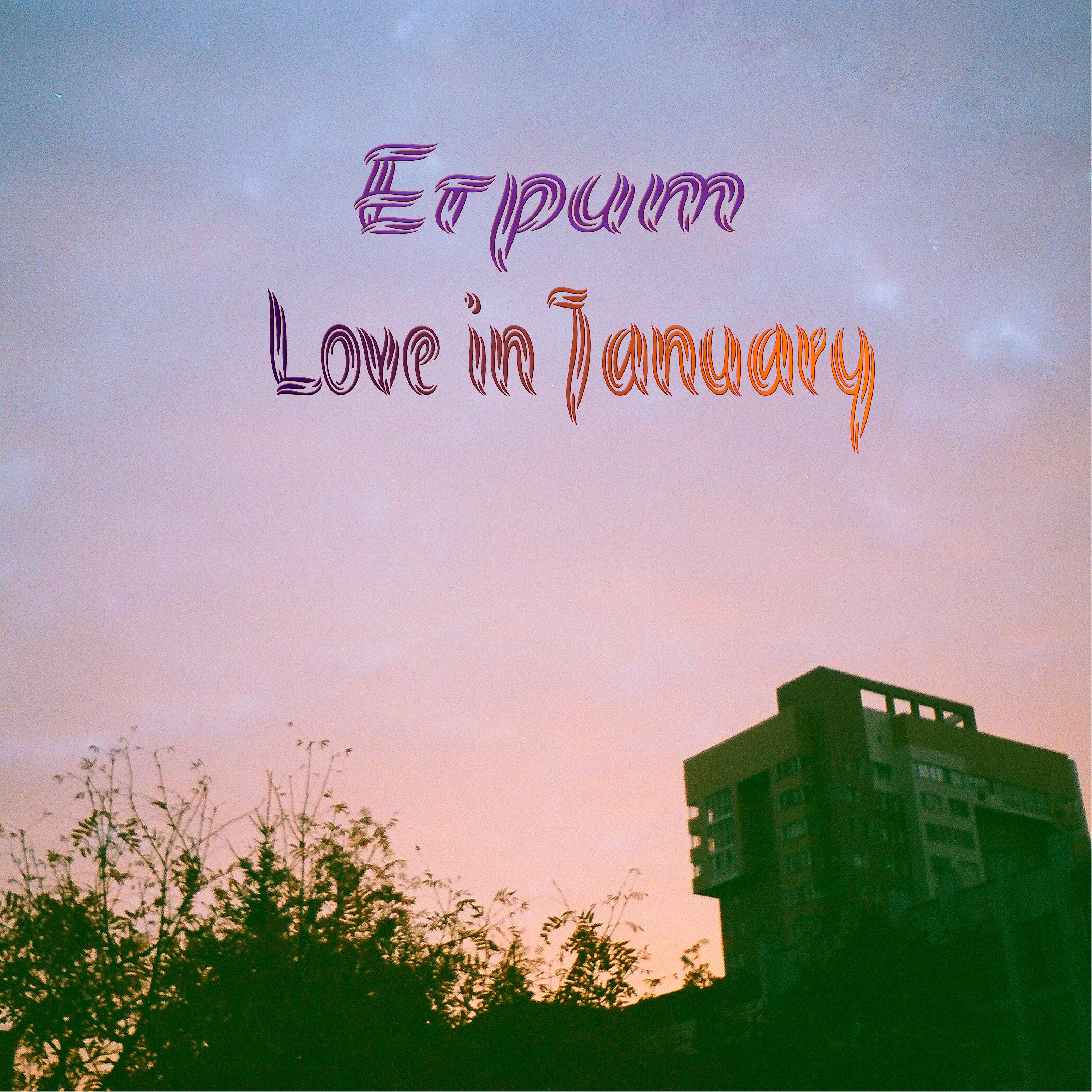 Постер альбома Love in January