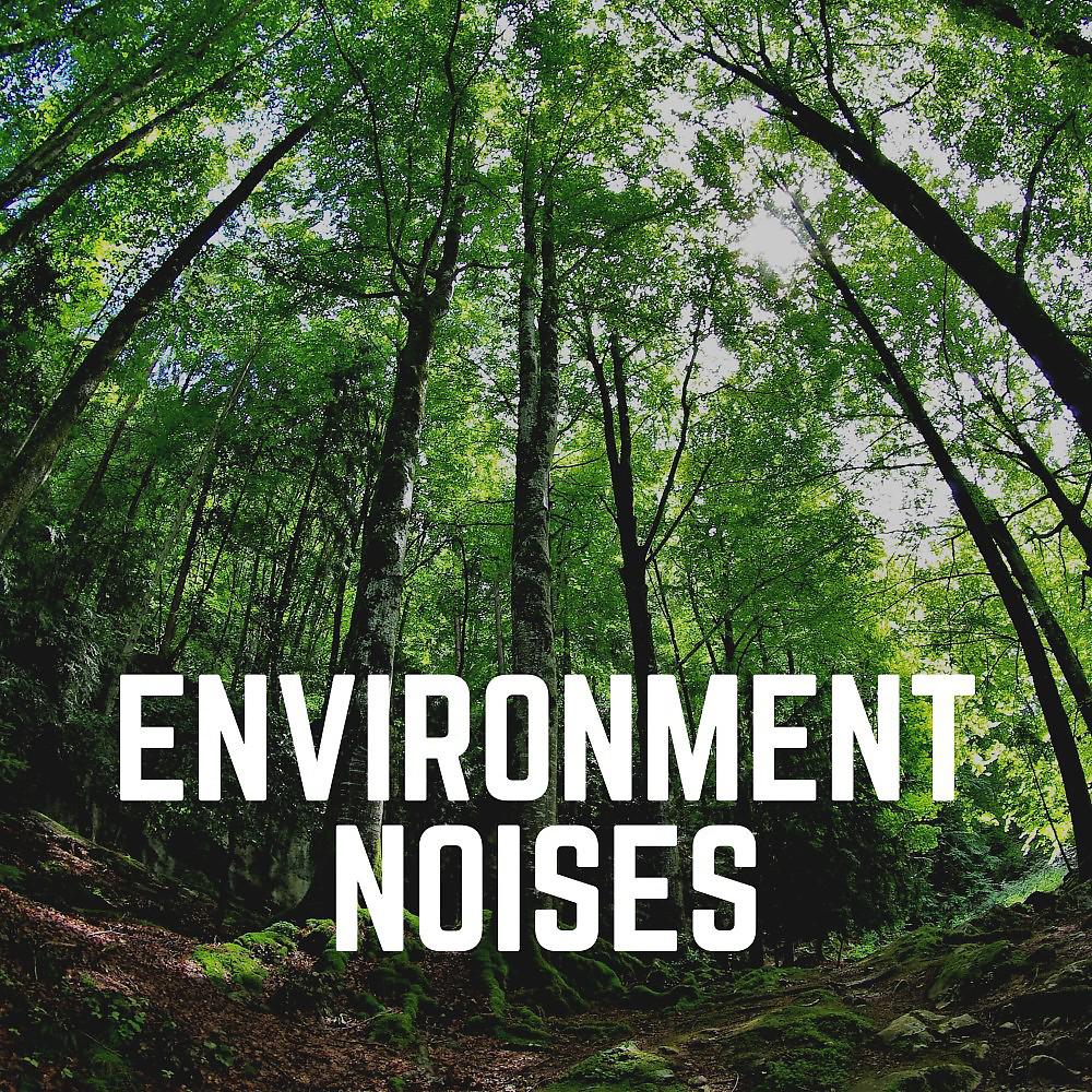 Постер альбома Environment Noises