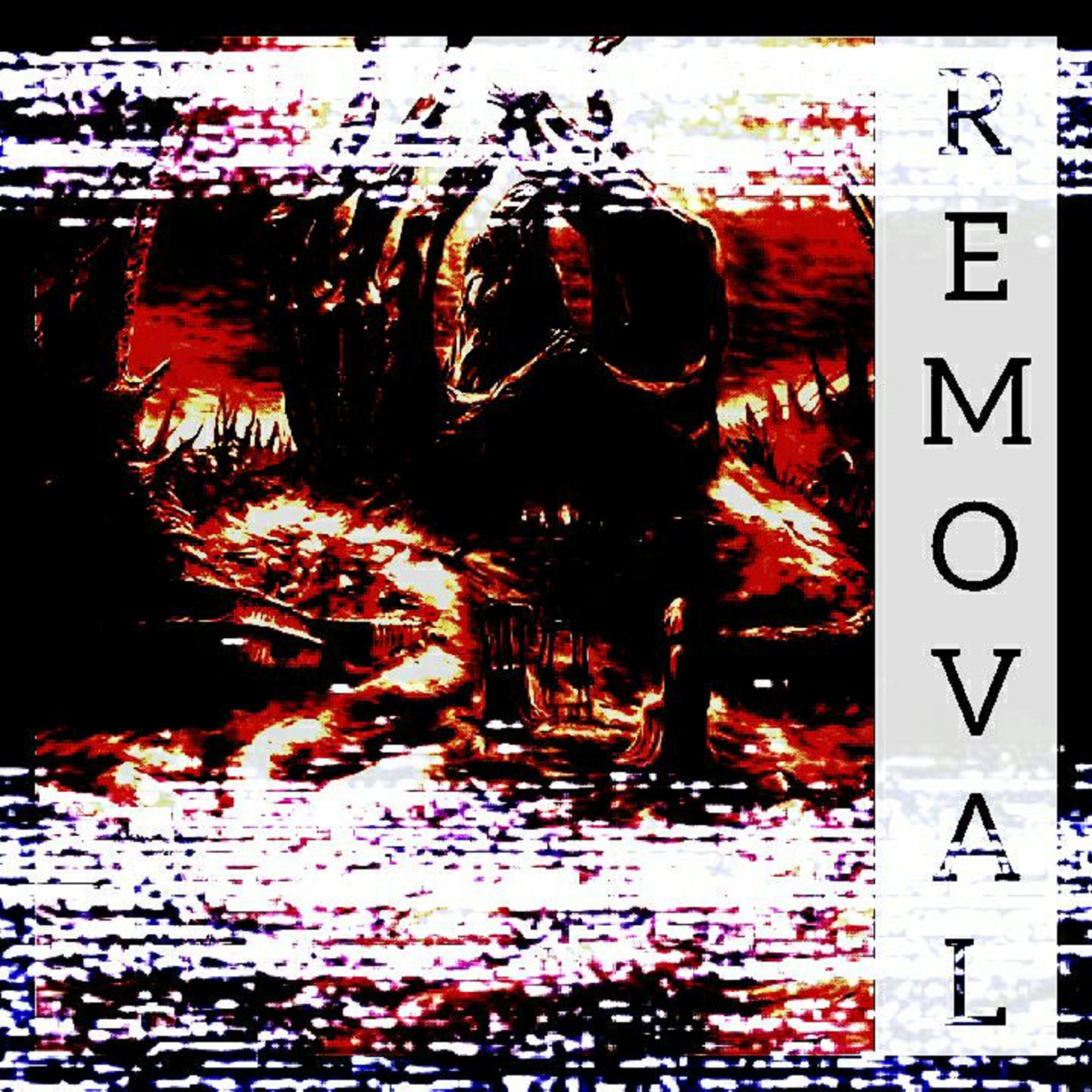 Постер альбома Removal
