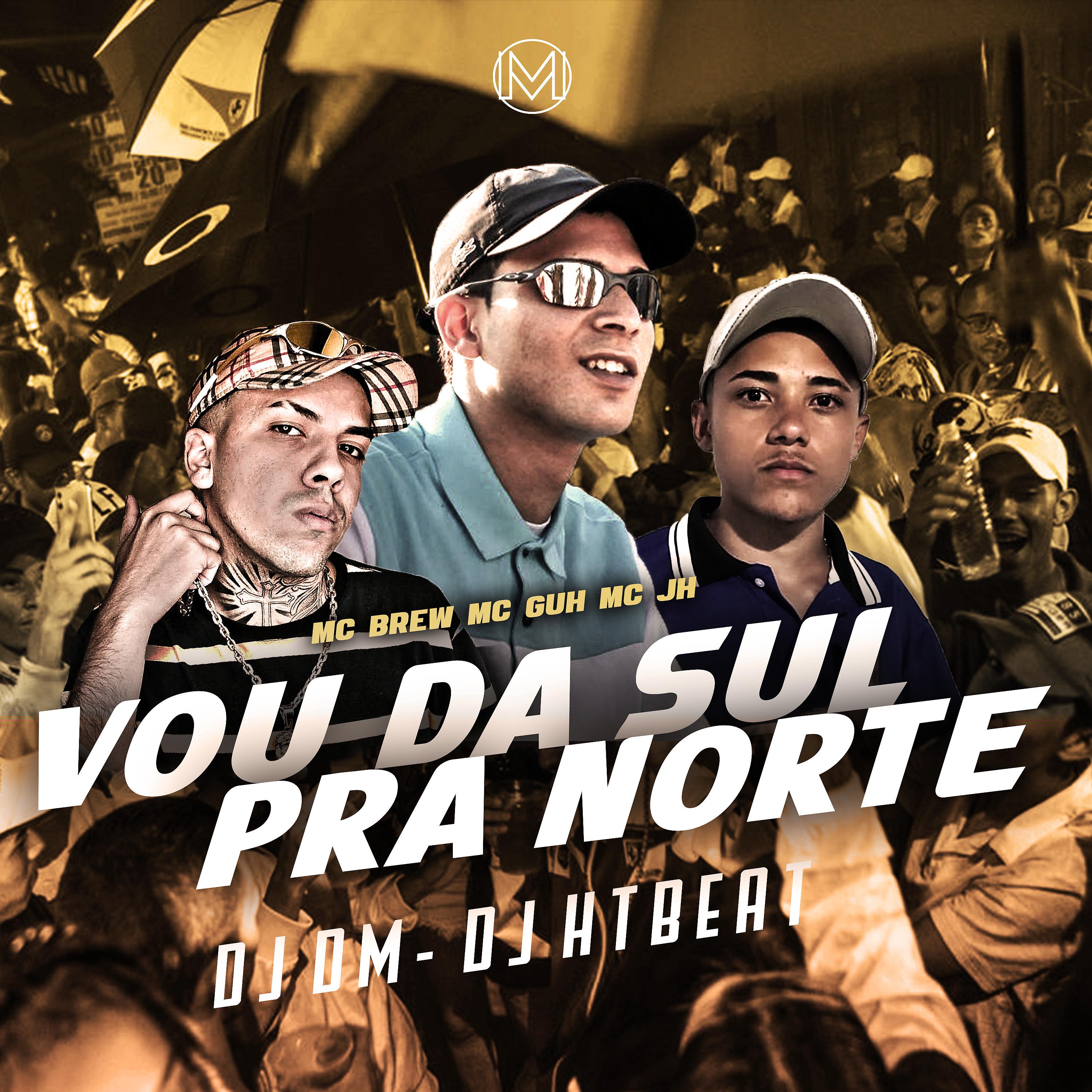 Постер альбома Vou da Sul, pra Norte