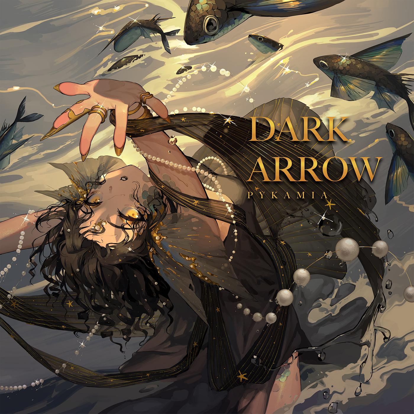 Постер альбома Dark Arrow