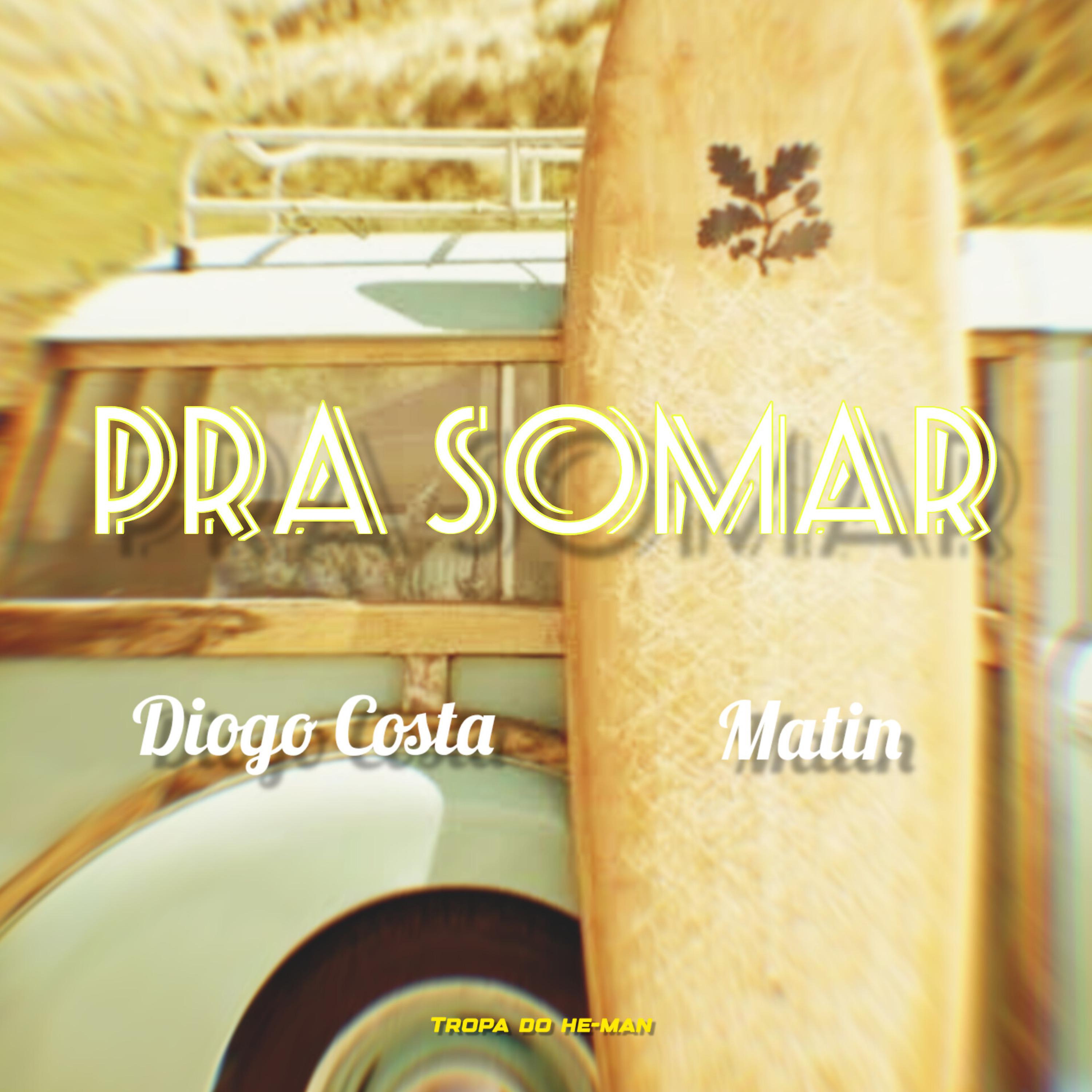 Постер альбома Pra Somar
