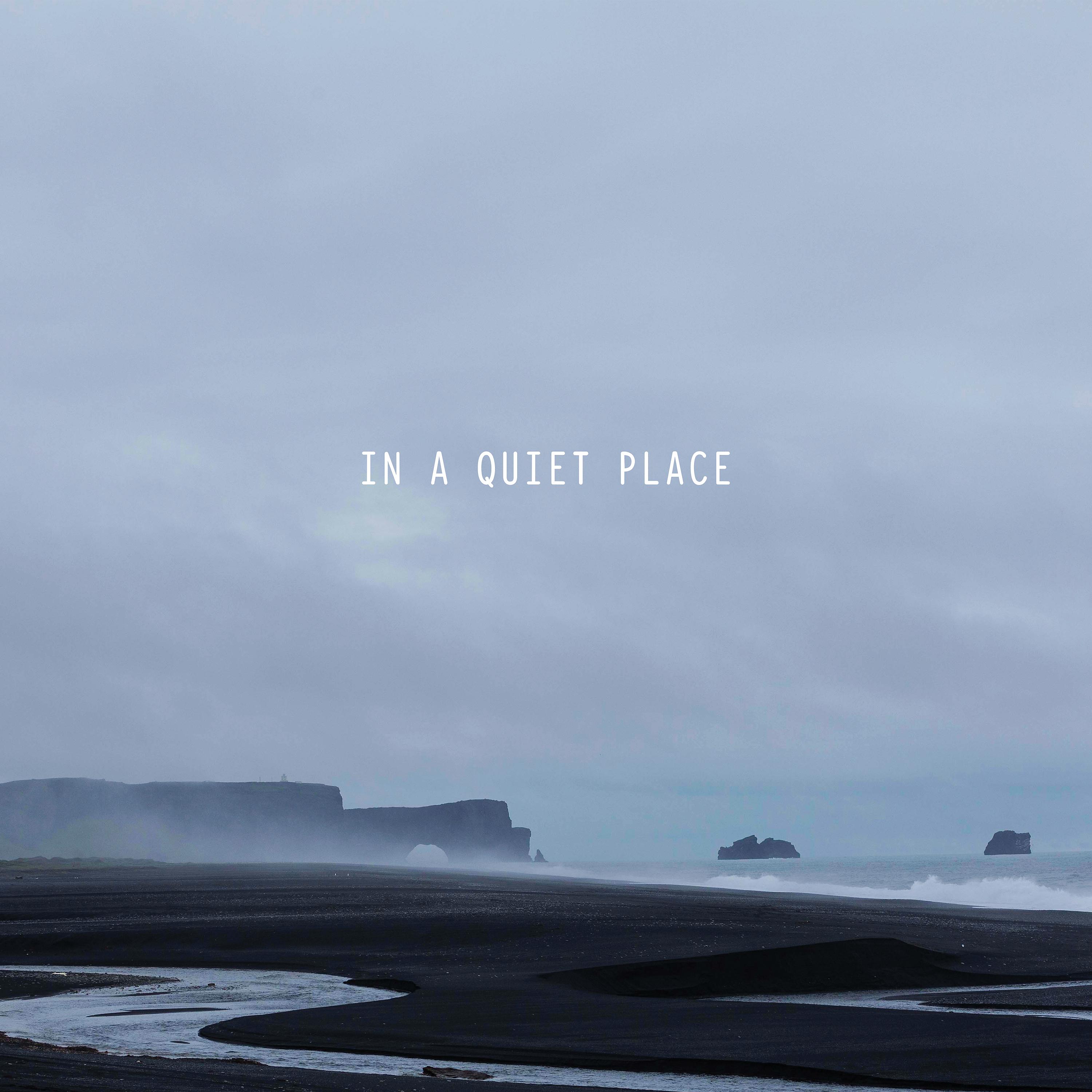 Постер альбома In a Quiet Place: Music from the Listen Project, Vol. 1