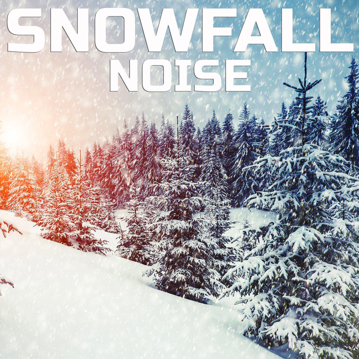 Постер альбома Snowfall Noise