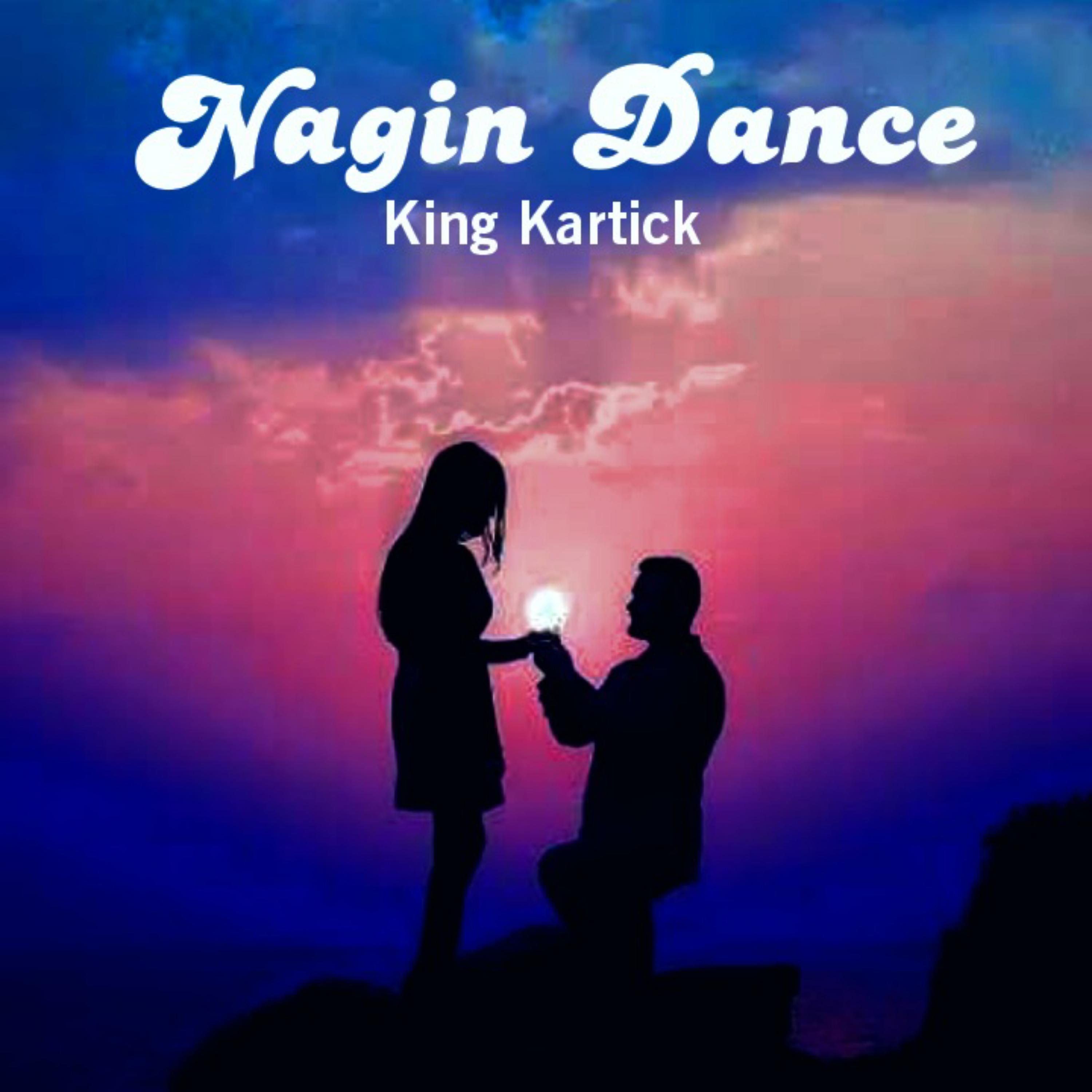 Постер альбома Nagin Dance