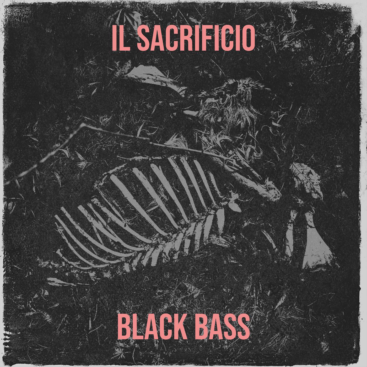 Постер альбома Il sacrificio